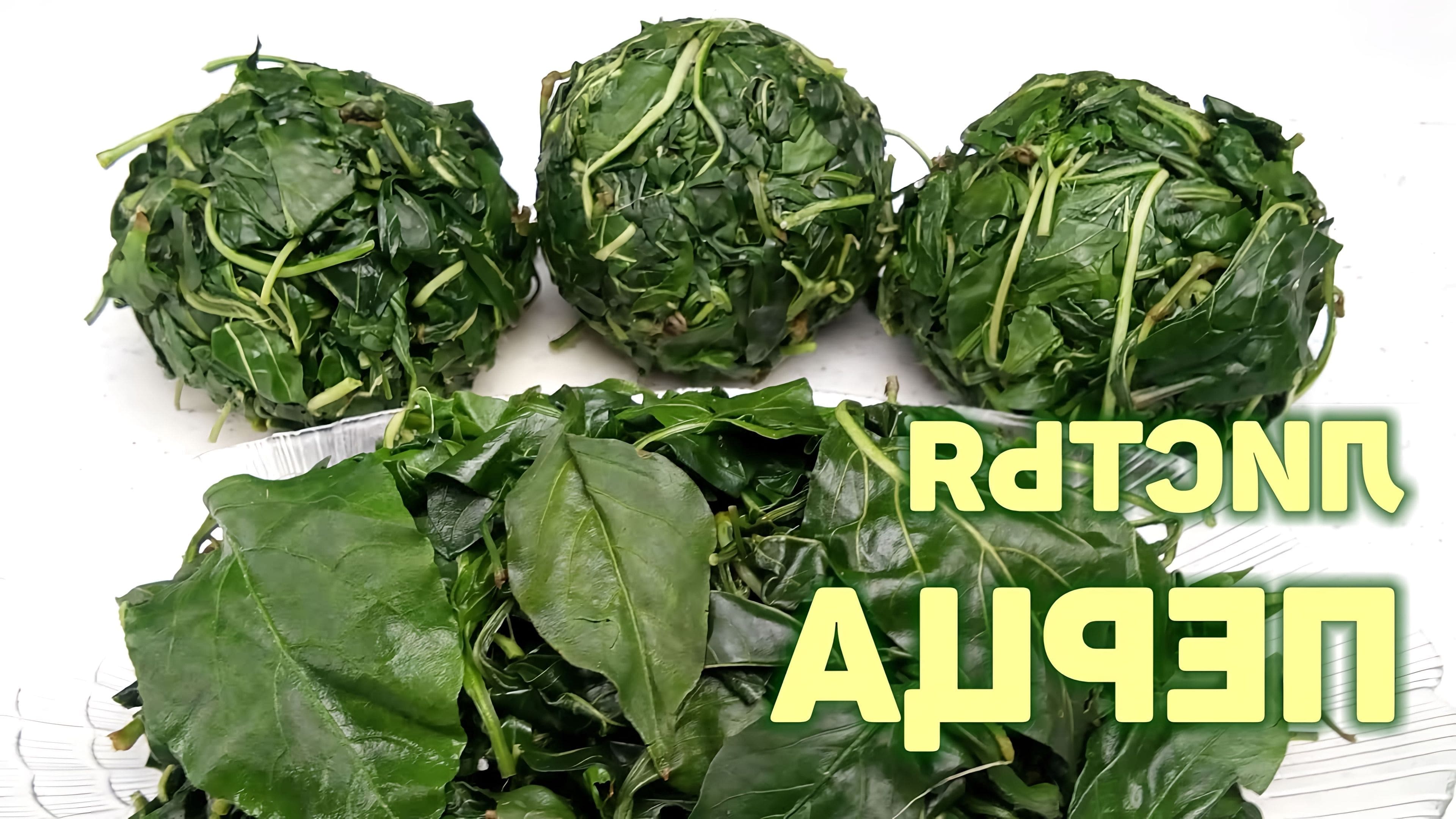 Листья горького перца цахтон. Мариновка горького перца. Засолка листьев перца. Горький перец. Горький перец на зиму.