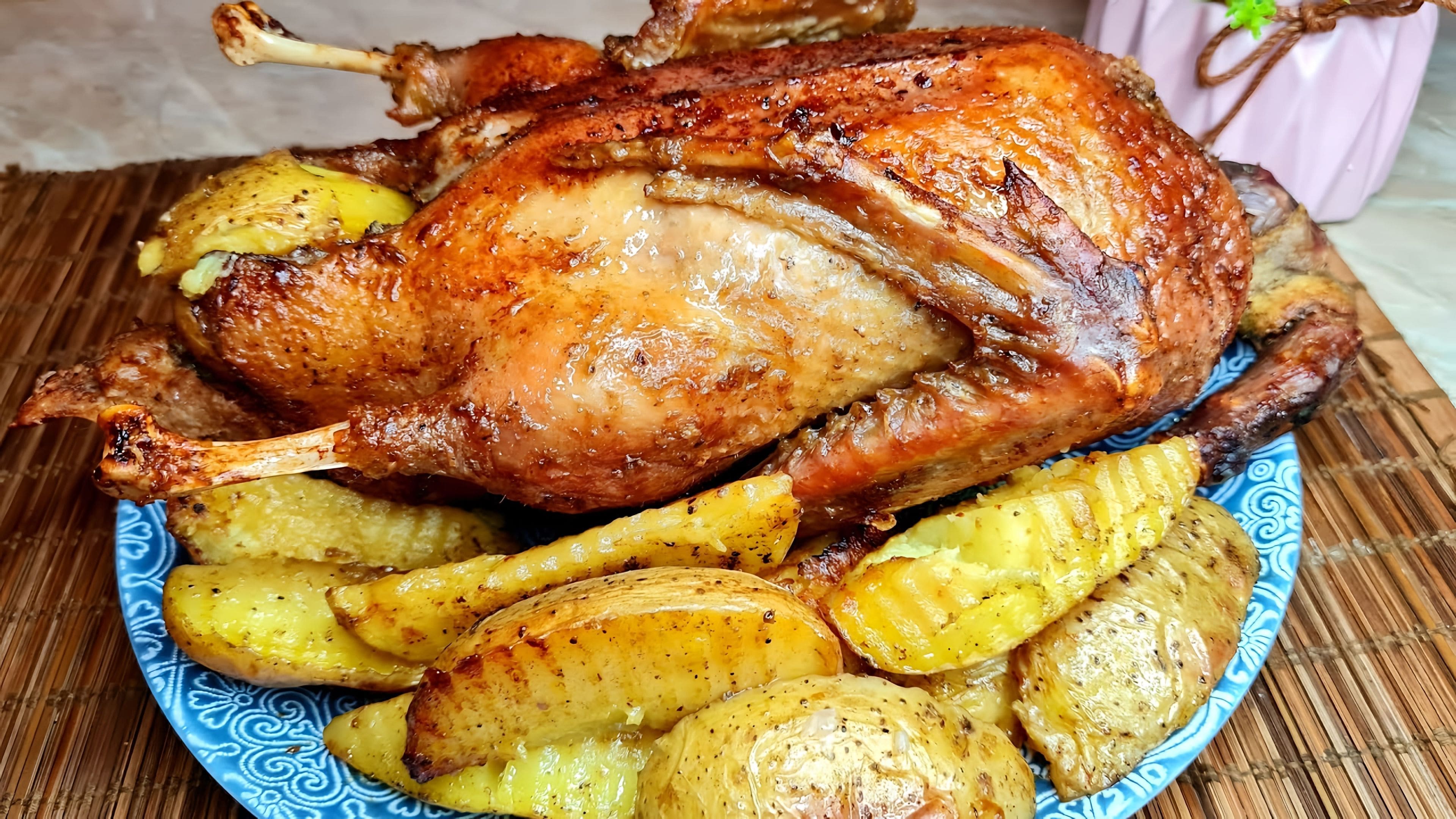 Как вкусно приготовить запеченную утку в духовке. Печеная утка. утка в духовке. утка с картошкой. утка в духовке мягкая и сочная с картошкой.