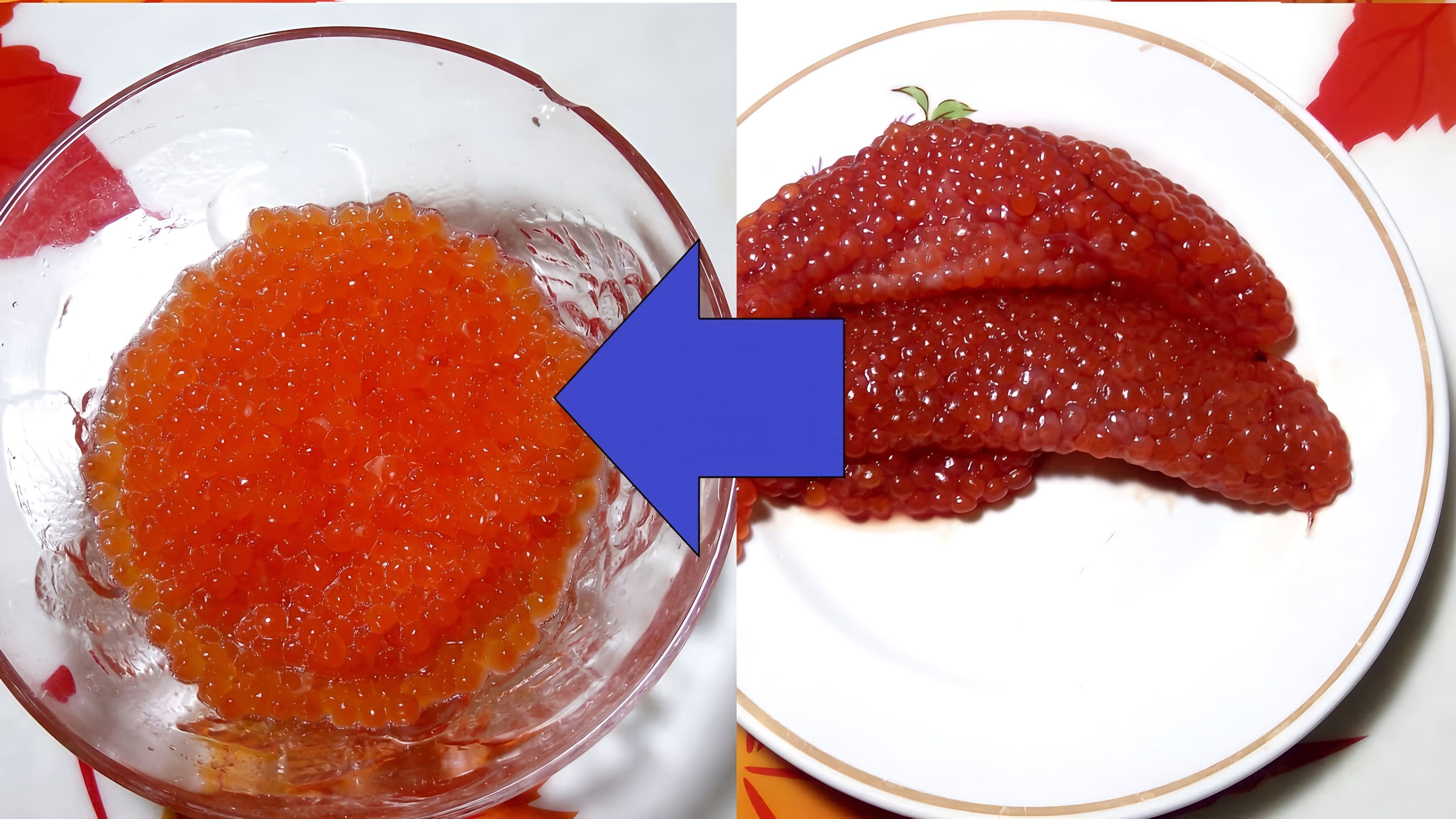 Красная икра. Вареная красная икра. Красная икра форели. Сито для икры горбуши. Икра горбуши.