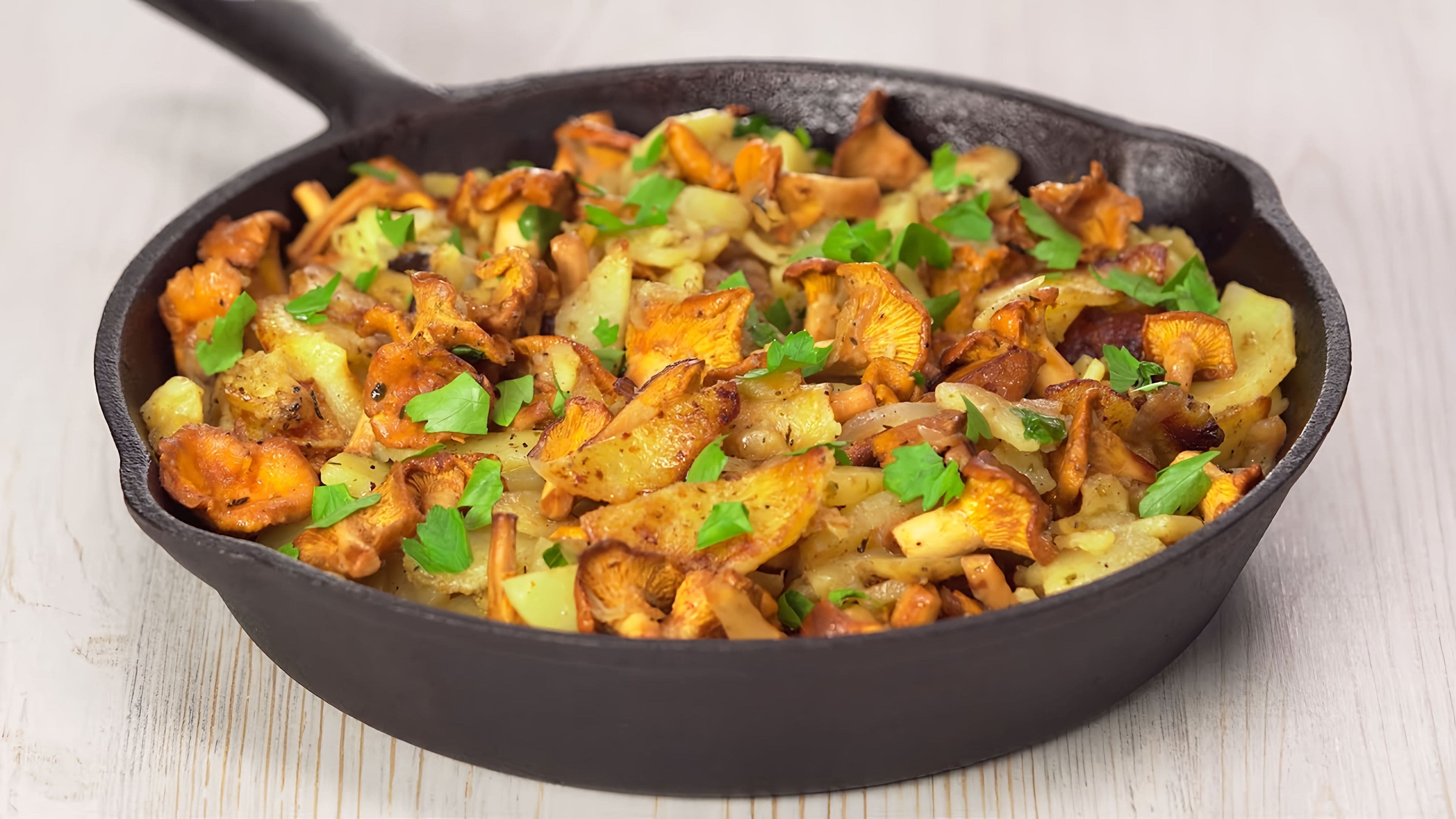 Жареная картошка с лис. Картофель жареный с лисичками. Картофель жареный с лисичками. Как приготовить картофель с лисичками. Жареная картошка с лисичками на сковороде.