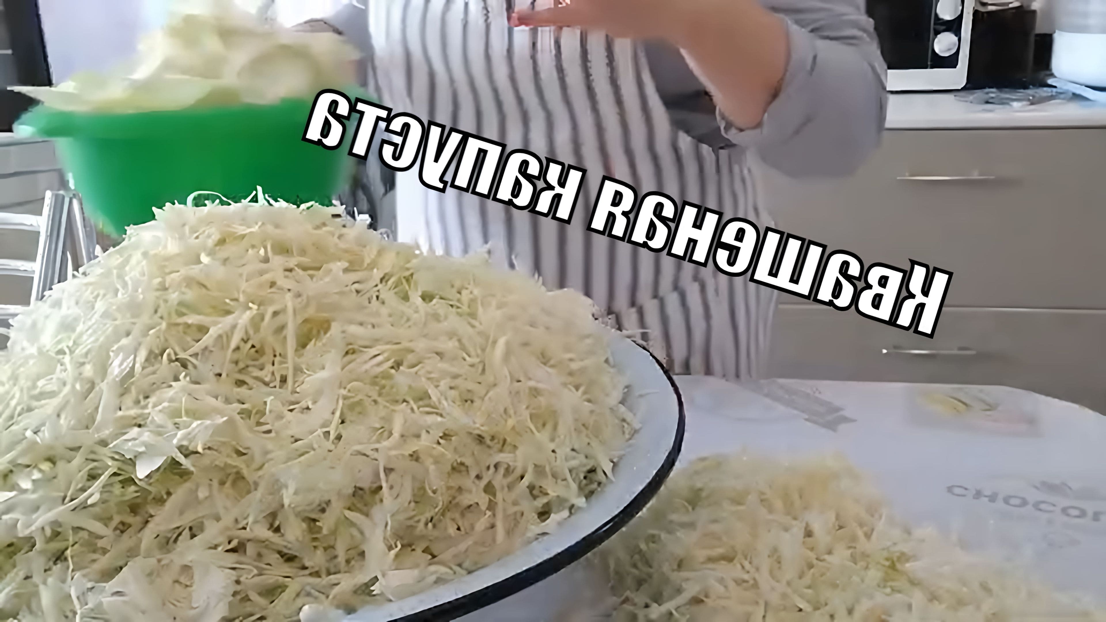 Засолка капусты в банках рецепты простые на 3 литровую банку