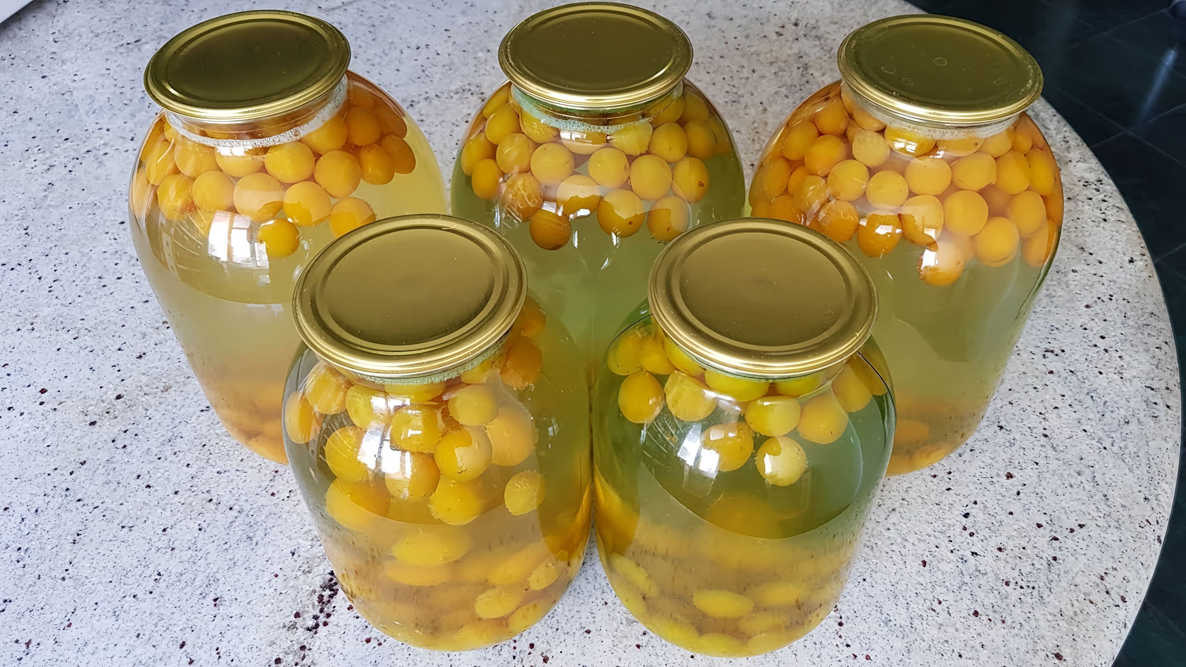 Компот из желтой алычи и яблок. Компот из желтой алычи. Компот из алычи на зиму. Компот алыча сахар. Алыча что приготовить из нее на зиму.