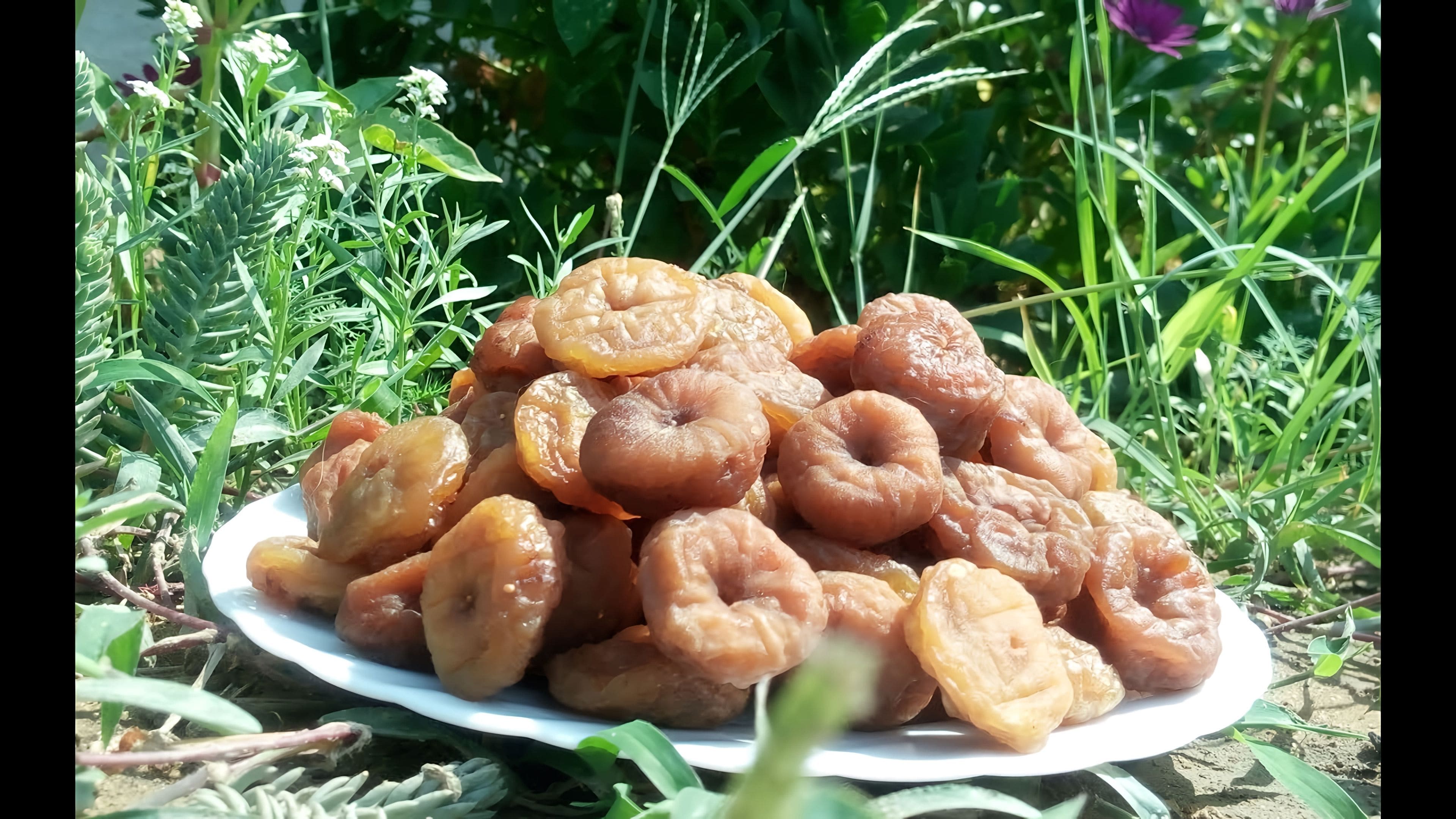 Вяленая хурма. Сушеный абхазский инжир. Как сушить инжир целиком. Инжир с медом и орехами. Инжир в электросушилке.