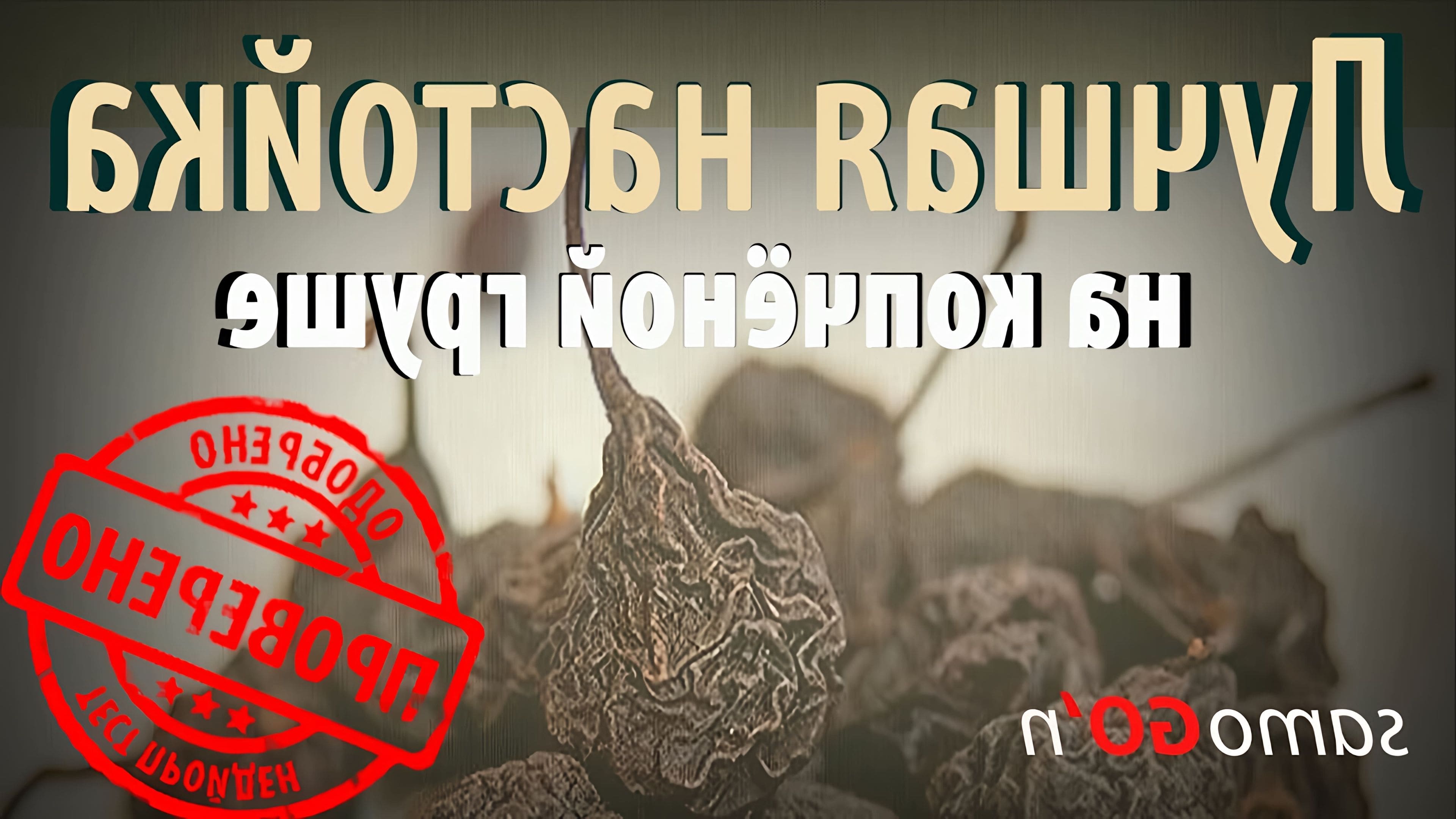 Копченая груша для самогона. Настойка копченая груша. Настойка копченая груша этикетка. Копченая груша настойка на самогоне рецепты. Настойка копченая груша.