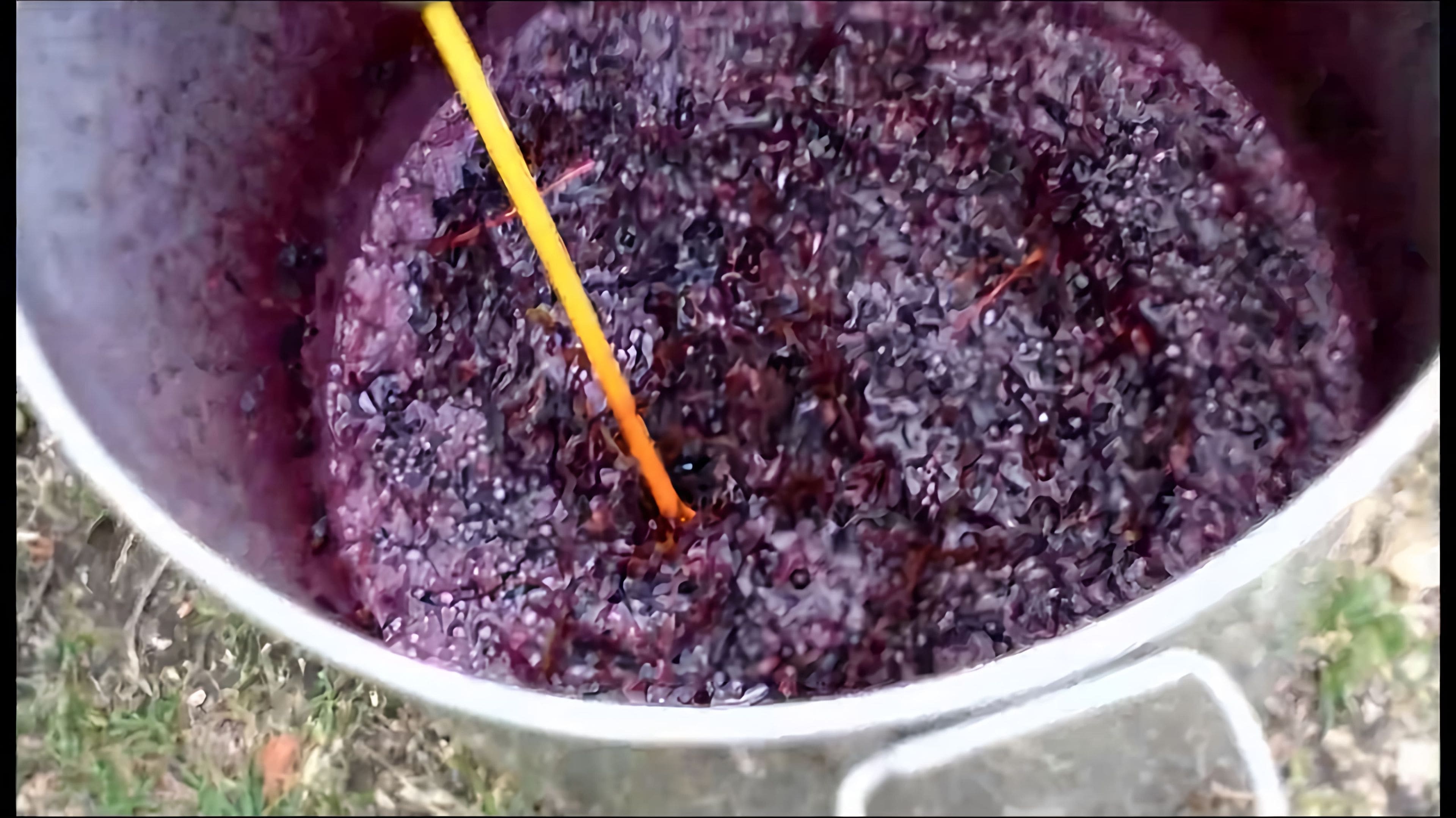 Виноградный жмых. Мезга виноградная. Домашняя чача из винограда. Как приготовить виноградную чачу. Вино на мезге.