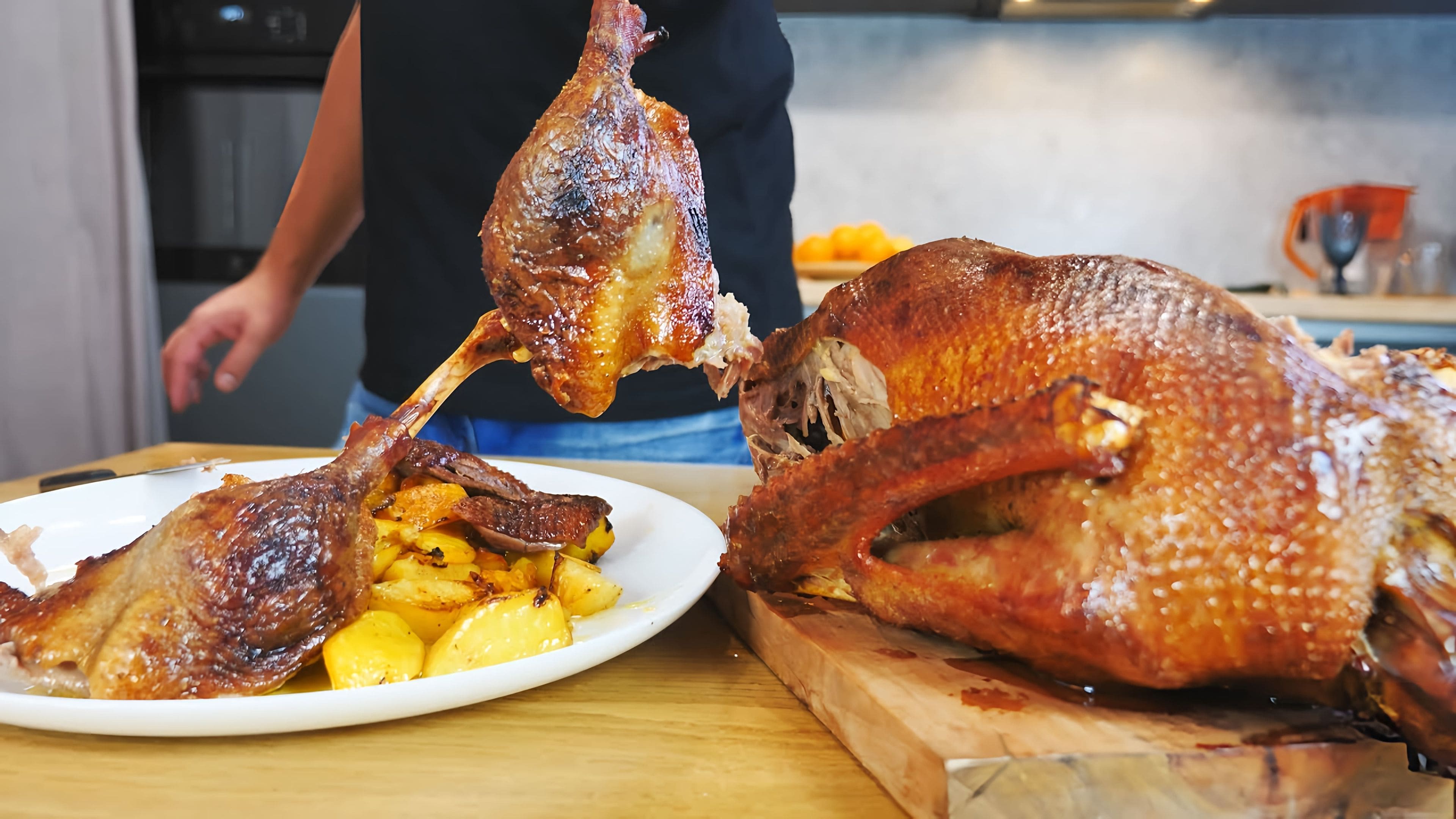 Домашний гусь в духовке. Рецепт для запекания гуся. Рецепт для запекания гуся. Приготовить гуся в духовке. Рецепт для запекания гуся.