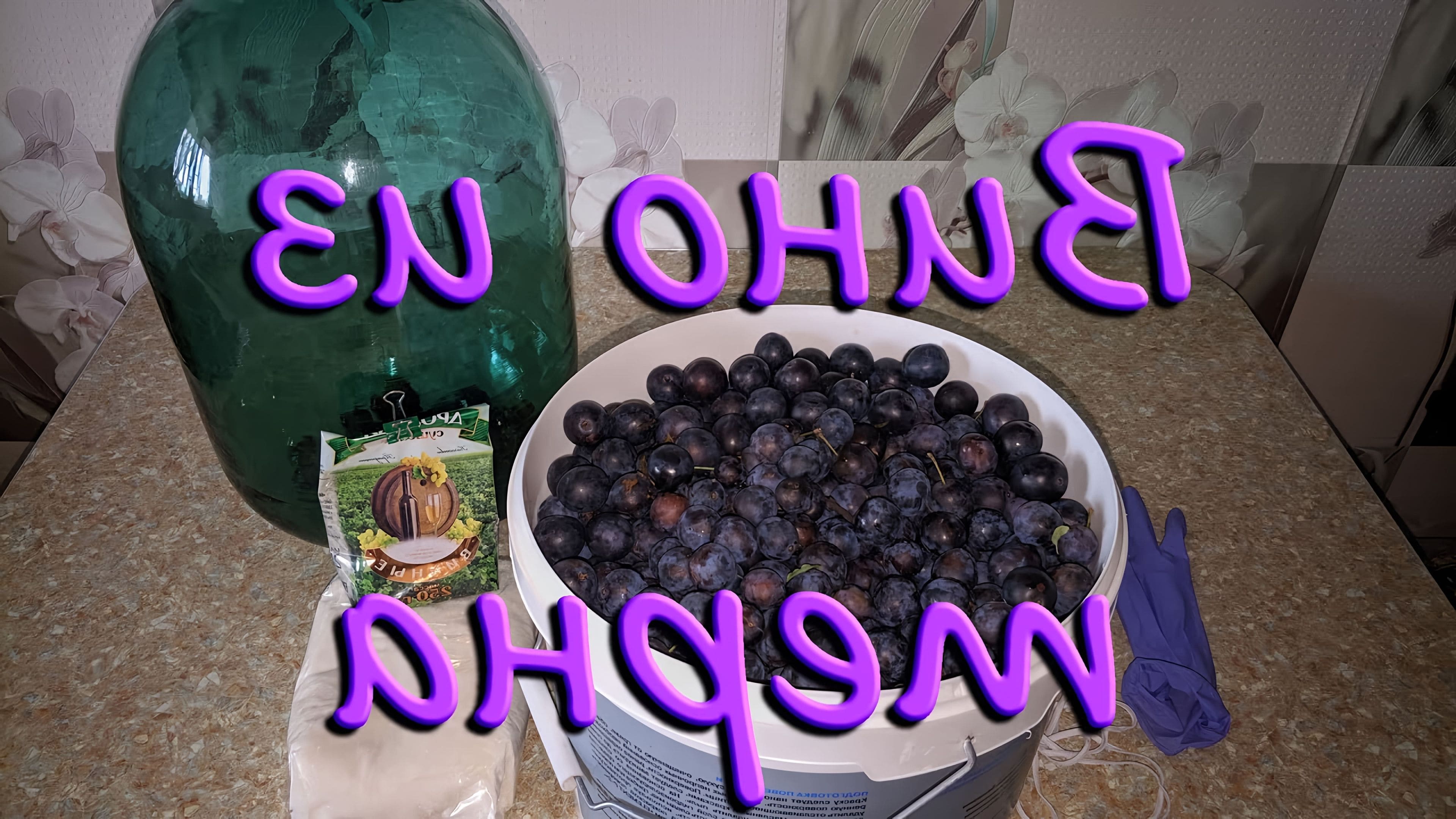 Как приготовить вино из терна. Вино из терна. Как приготовить вино из терна. Вино из терна без дрожжей. Вино из тернослива.