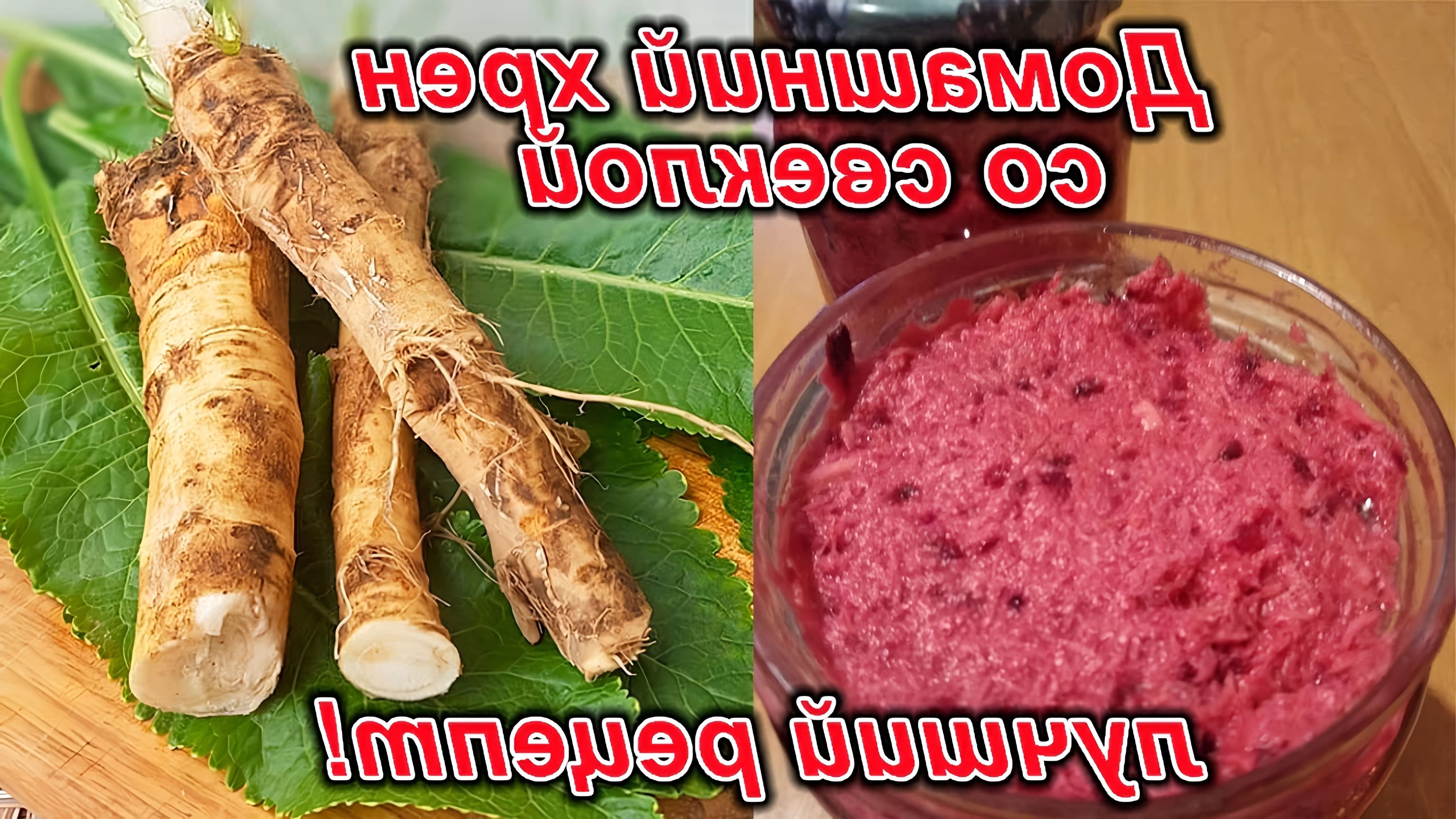 Приправа из корня хрена рецепт. Хрен со свеклой. Хрен со свеклой. Хрен рецепт. Хрен рецепт приготовления.