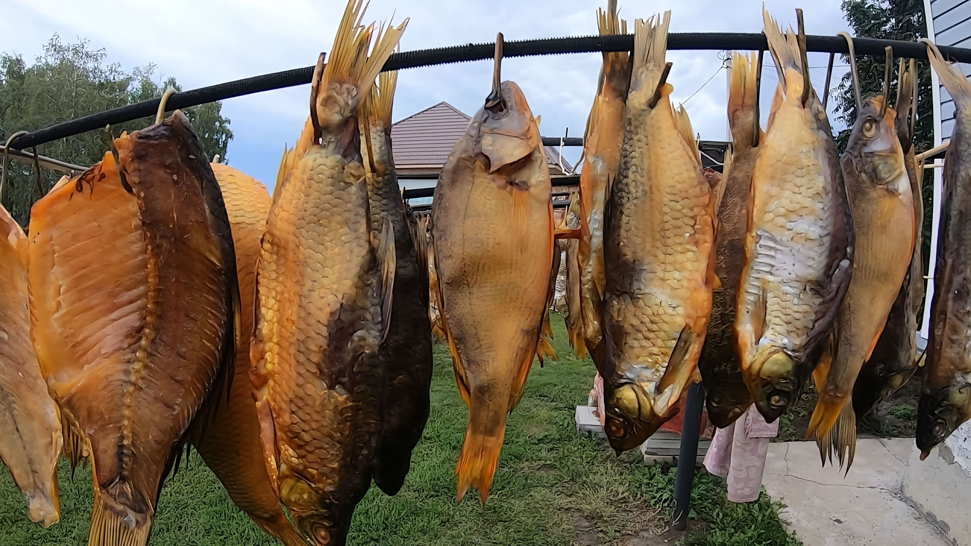 Копченая Рыба В Нижнем Новгороде Купить