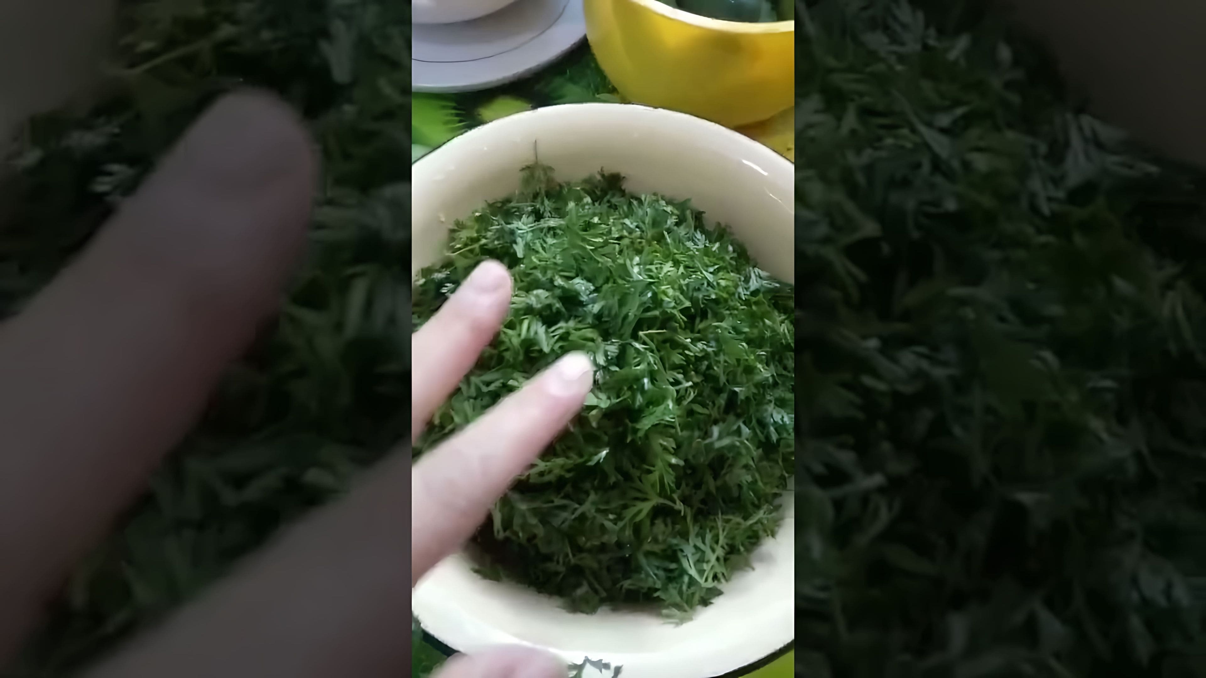 Как приготовить чай из морковной ботвы ферментированный. Как приготовить чай из морковной ботвы ферментированный