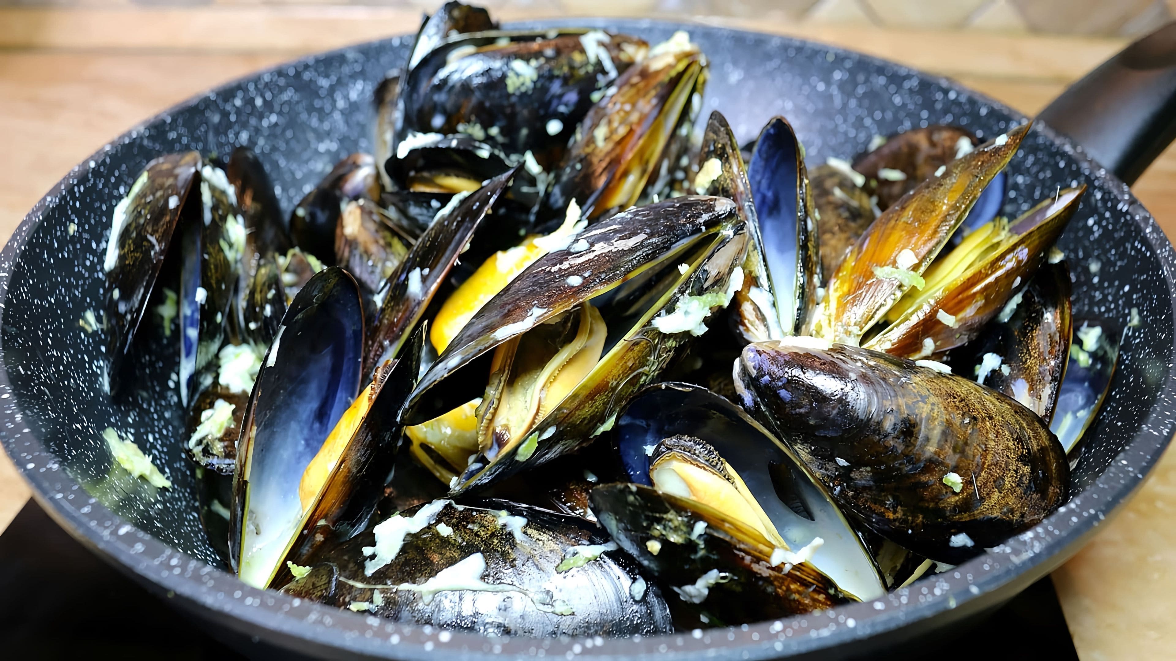 Мидии в соусе том ям. Как приготовить мидии в ракушках рецепты. Мидии. Мидия моллюск. Мидии в раковине рецепты приготовления.