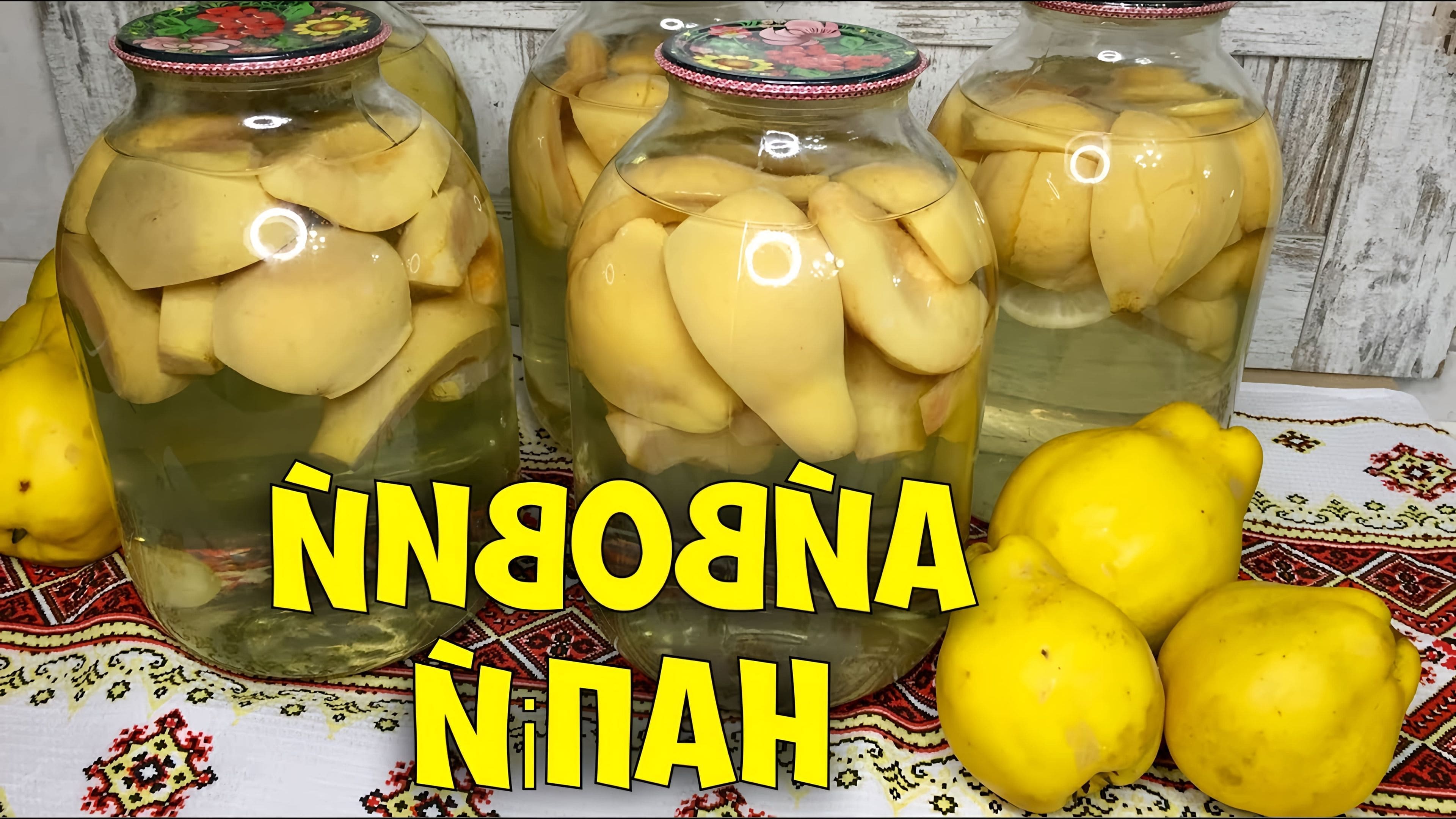 Компот из айвы самый вкусный рецепт
