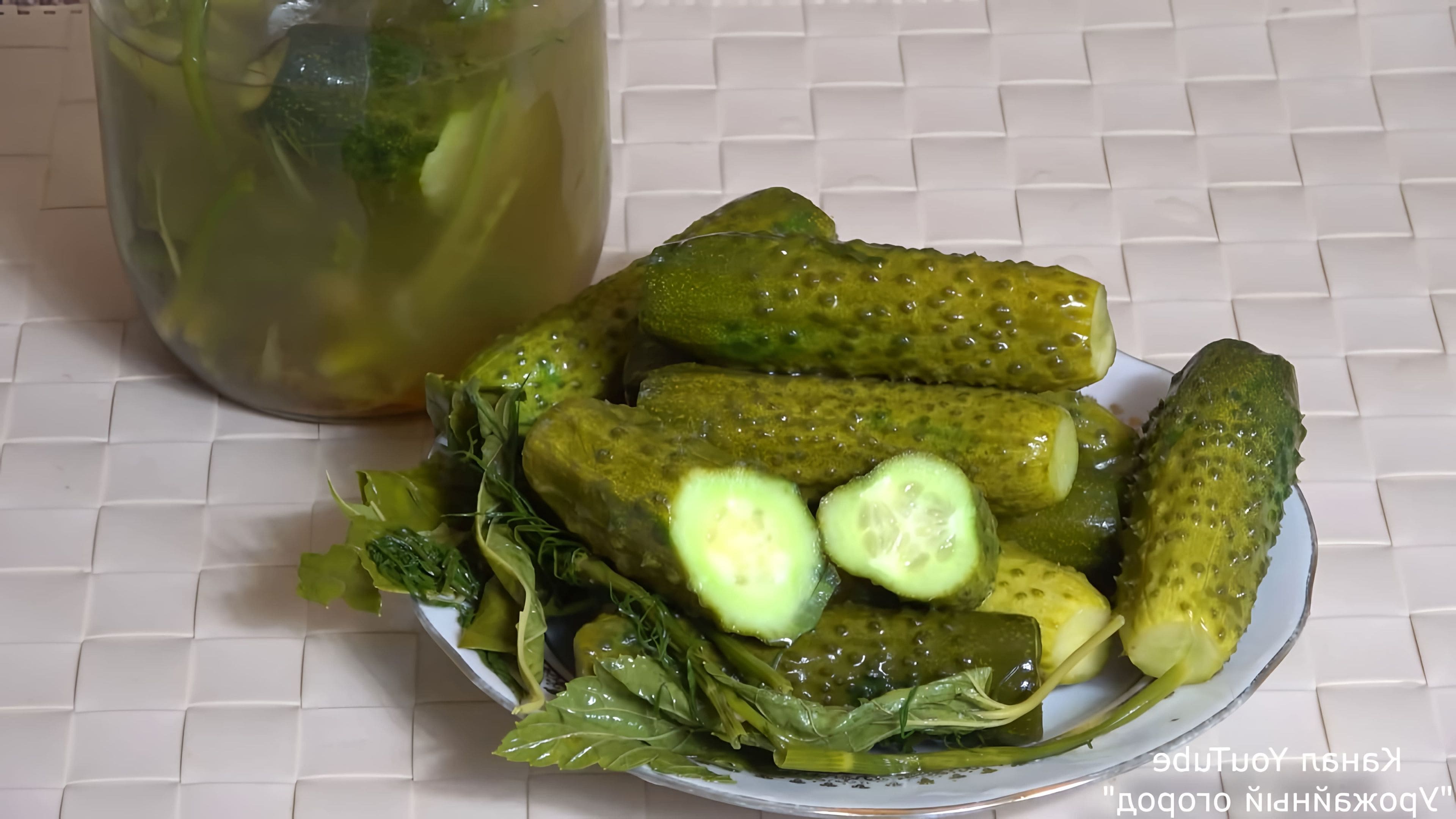 Засолить огурцы в горячем рассоле. Бочковые огурцы в банке. Рассол рецепт огурцами классический. Мужик в огуречном рассоле. Засолка огурцов в пакете с укропом и чесноком быстрого приготовления.