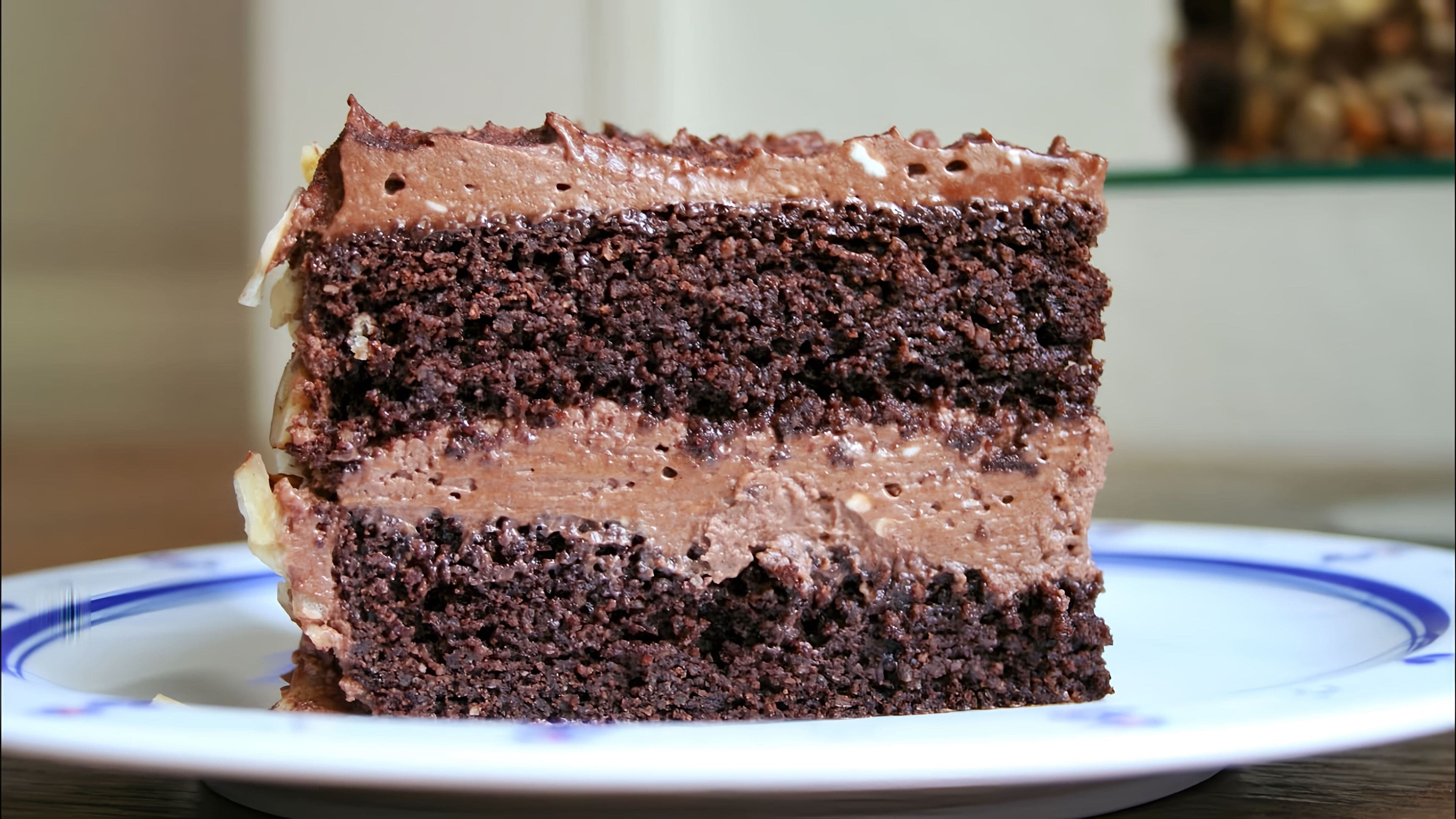 Burundagi spermani tomosha qiling