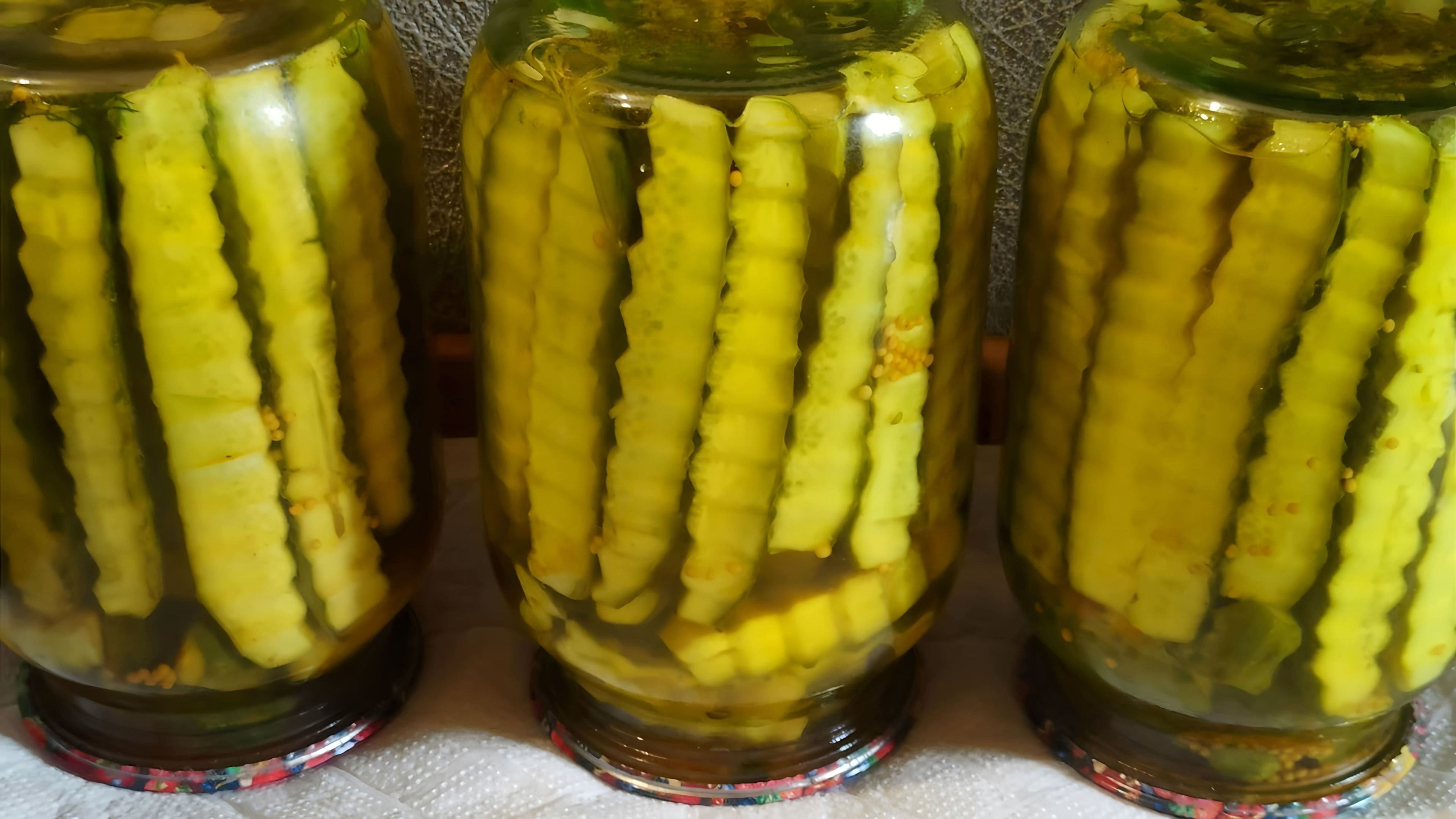 Огурцы на зиму с куркумой и семенами горчицы. Огурцы в масле на зиму. Огурцы с куркумой на зиму. Огурцы ананасы на зиму с куркумой как. Кабачки в горчице на зиму.