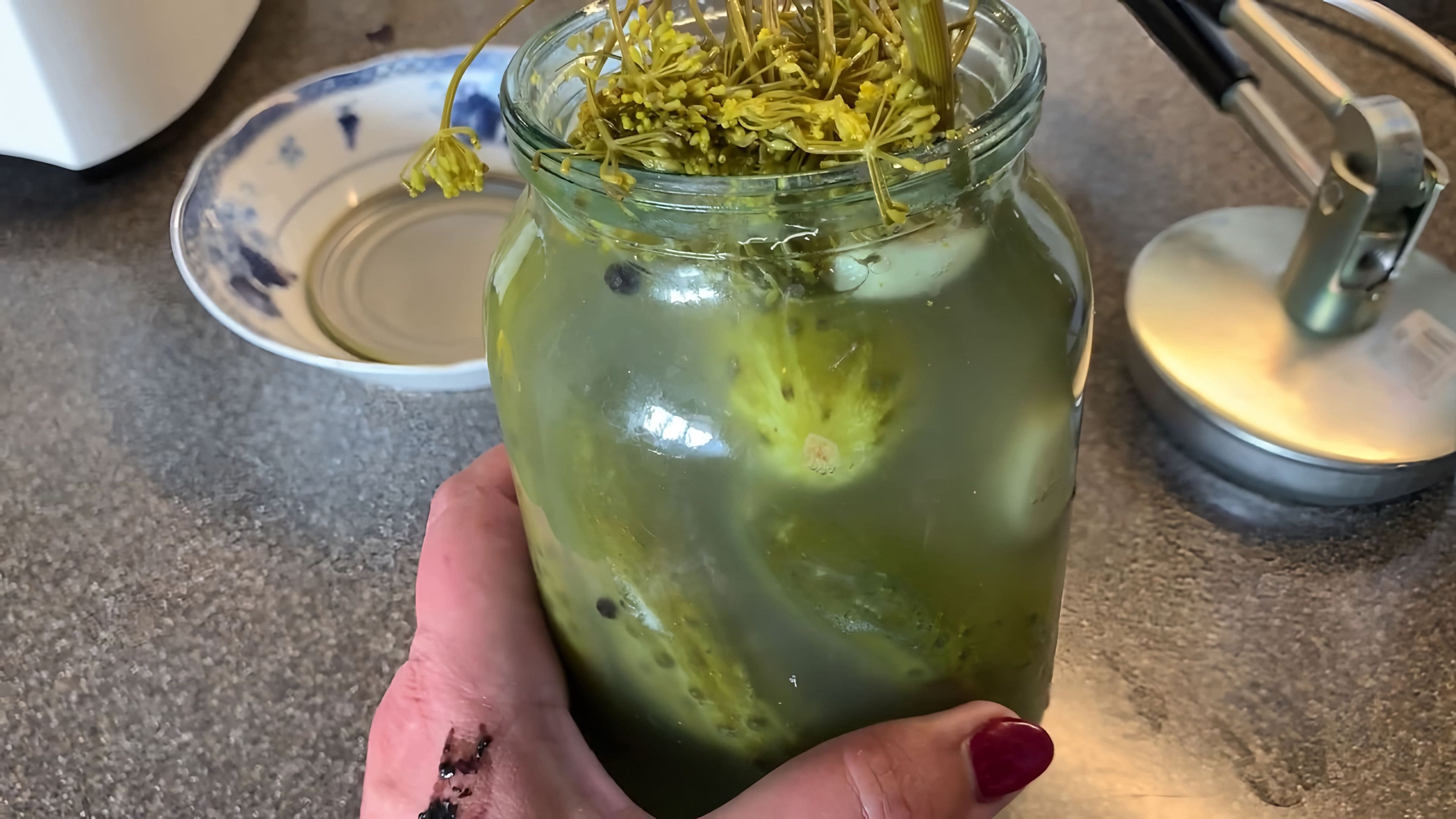 Крышка солений вид сверху. Бочковые огурцы в банке. Соленые огурцы с горчицей на зиму в банках холодным способом. Банки с огурцами под капроновой крышкой. Огурцы под холодным рассолом.