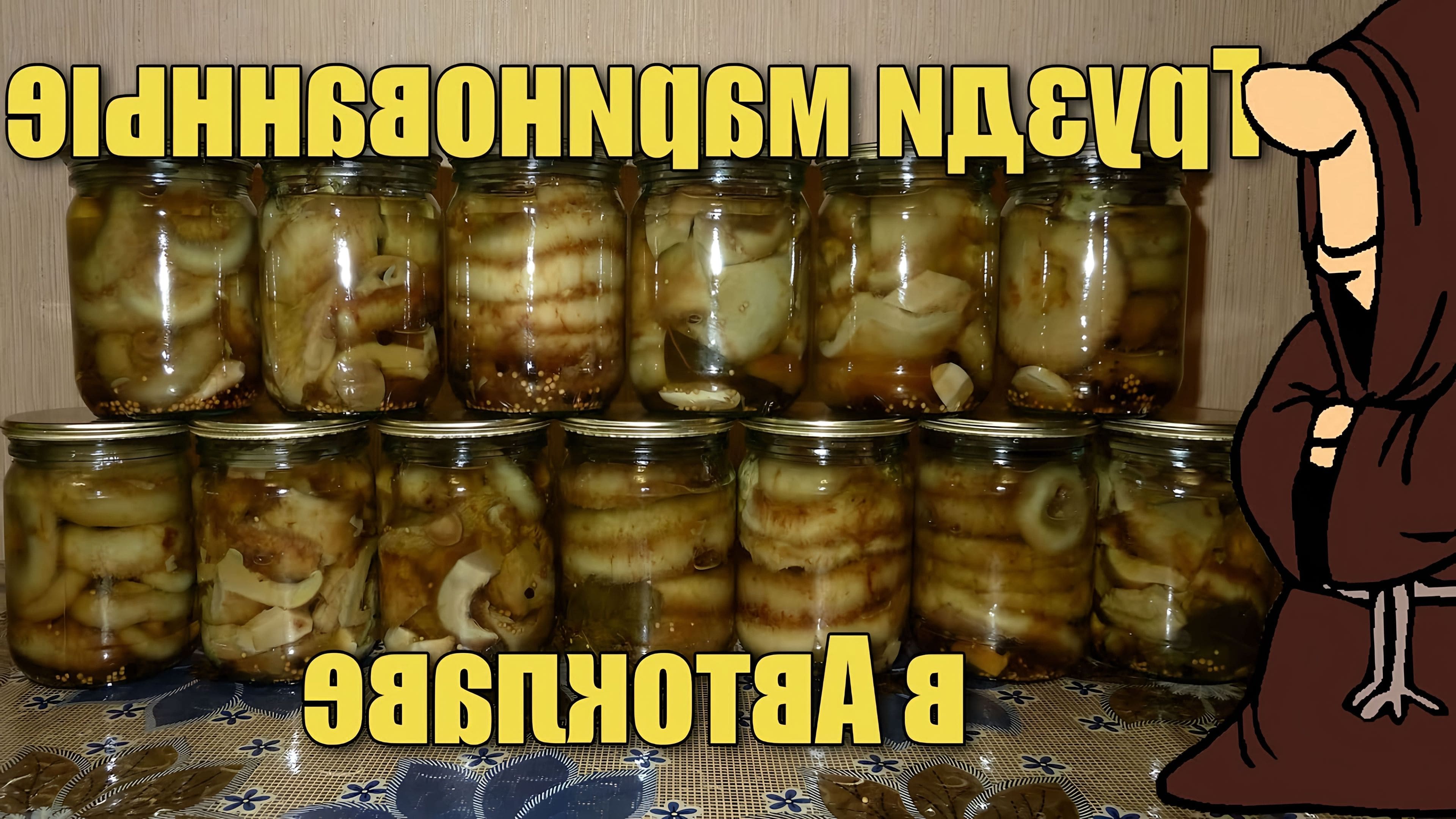 Какой маринад для груздей. Грибы в автоклаве. Грузди в автоклаве. Маринованные грибы опята на зиму в автоклаве. Кабачки в автоклаве.