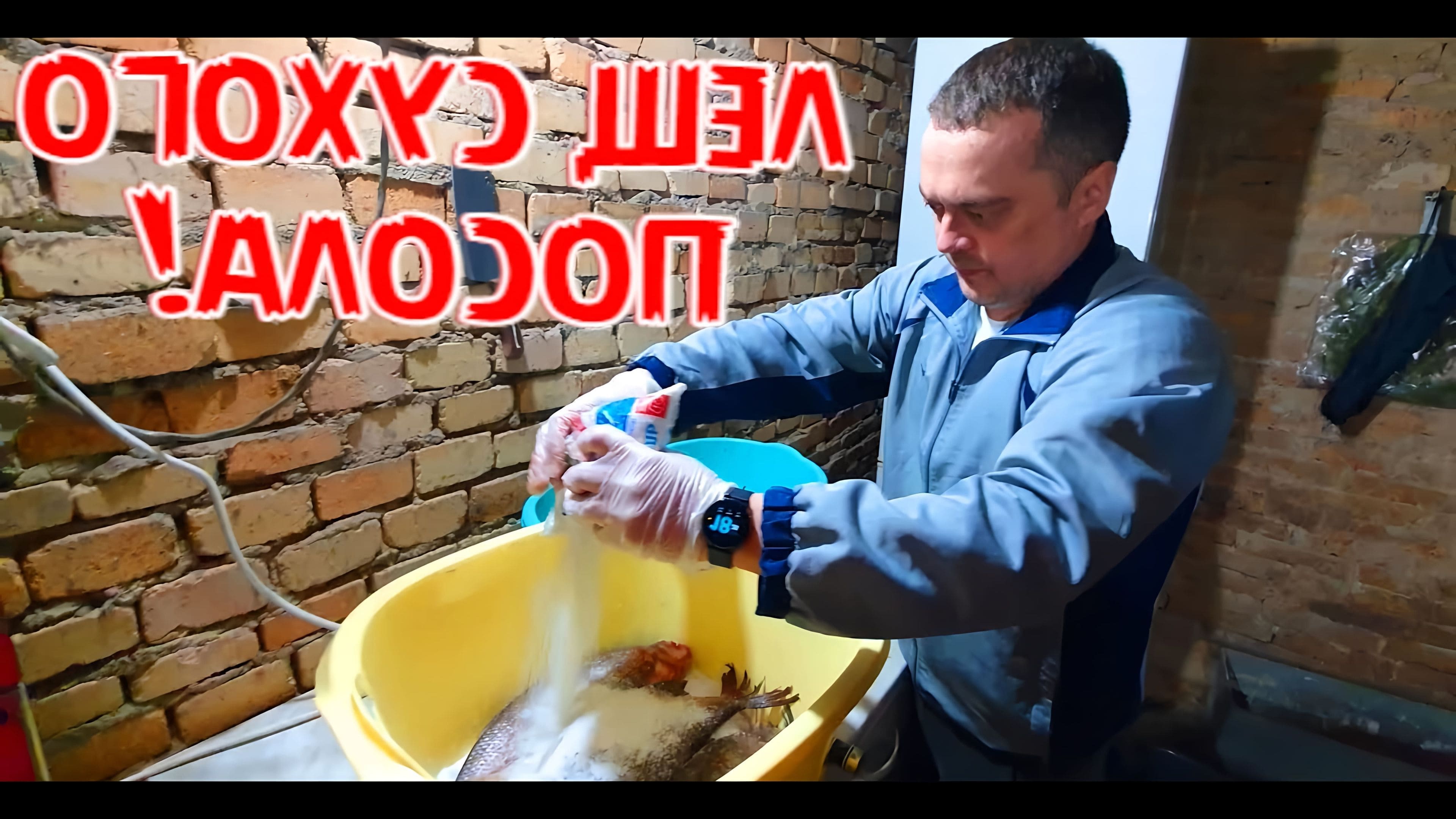 Посолить леща