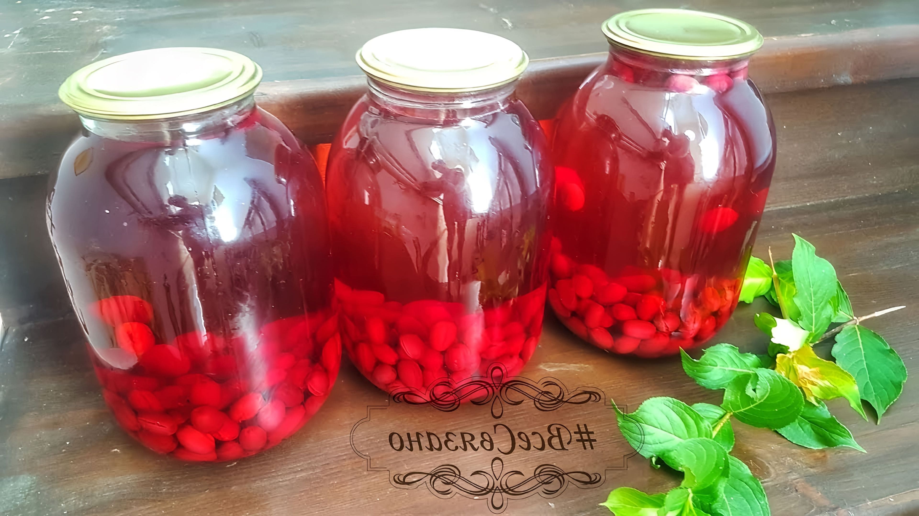 Компот из свежего кизила. Компот кизил 3 л. Закатка компота. Компот из свежего кизила. Компот в кастрюле.