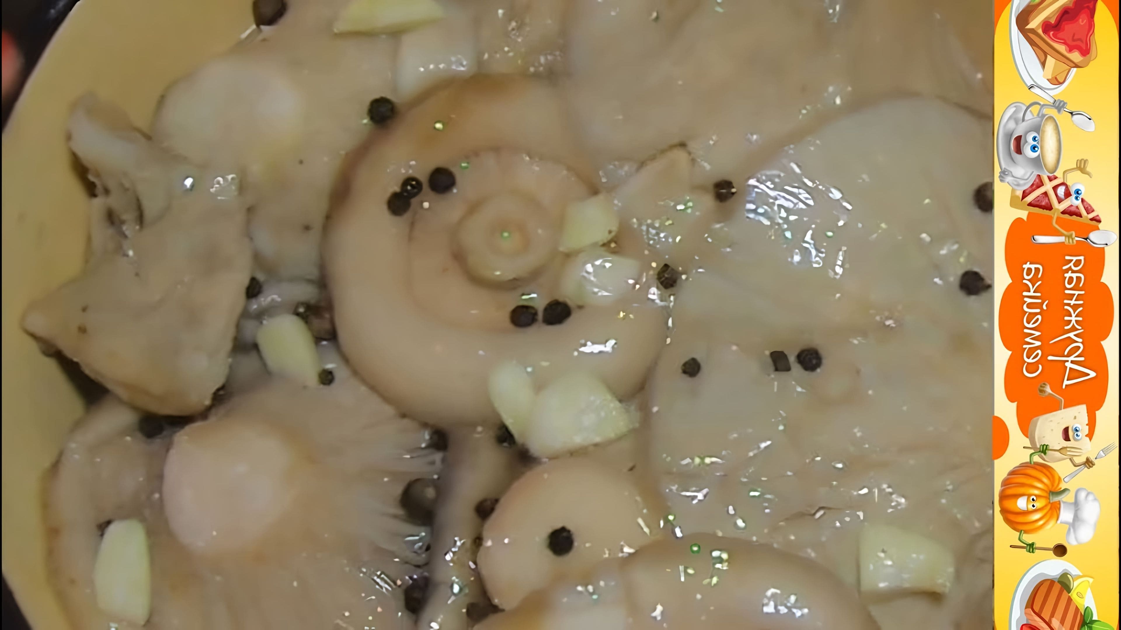 Грузди холодного посола. Груздь белый приготовление. Соус к соленым груздям. Белый груздь засолка горячим способом в кастрюле. Белый груздь засолка горячим способом в кастрюле.