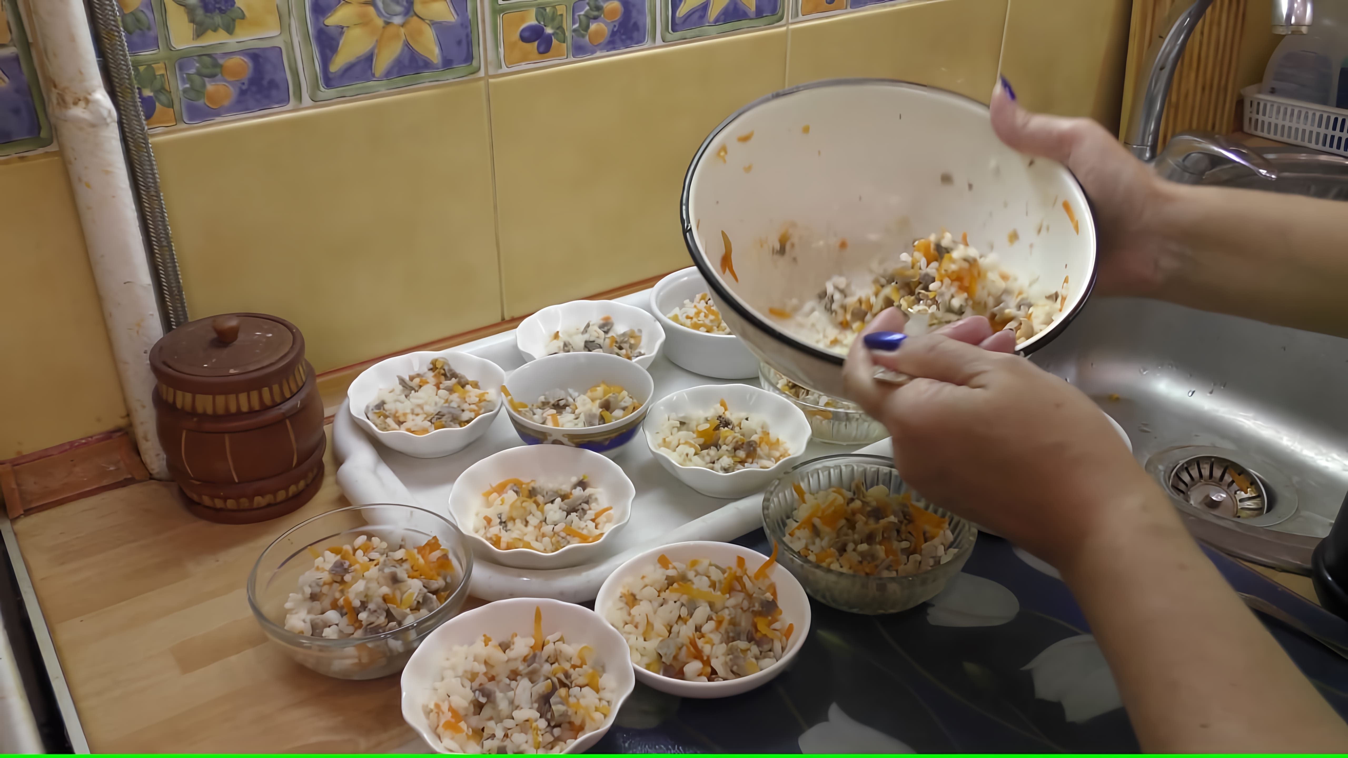 В данном видео-ролике Светлана Пискун проводит обзор питания для йоркширских терьеров