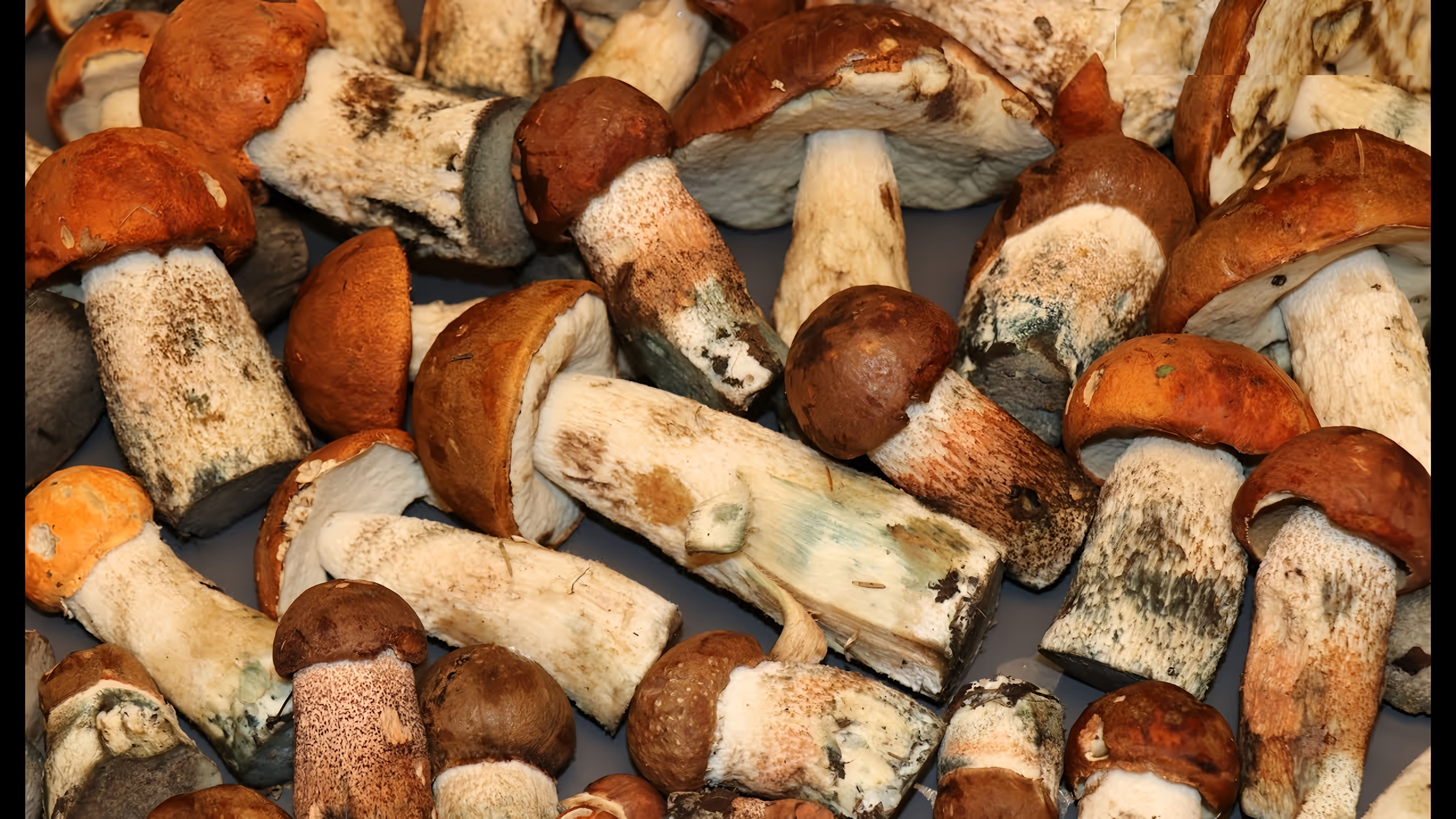 В этом видео демонстрируется процесс приготовления маринованных грибов подосиновиков