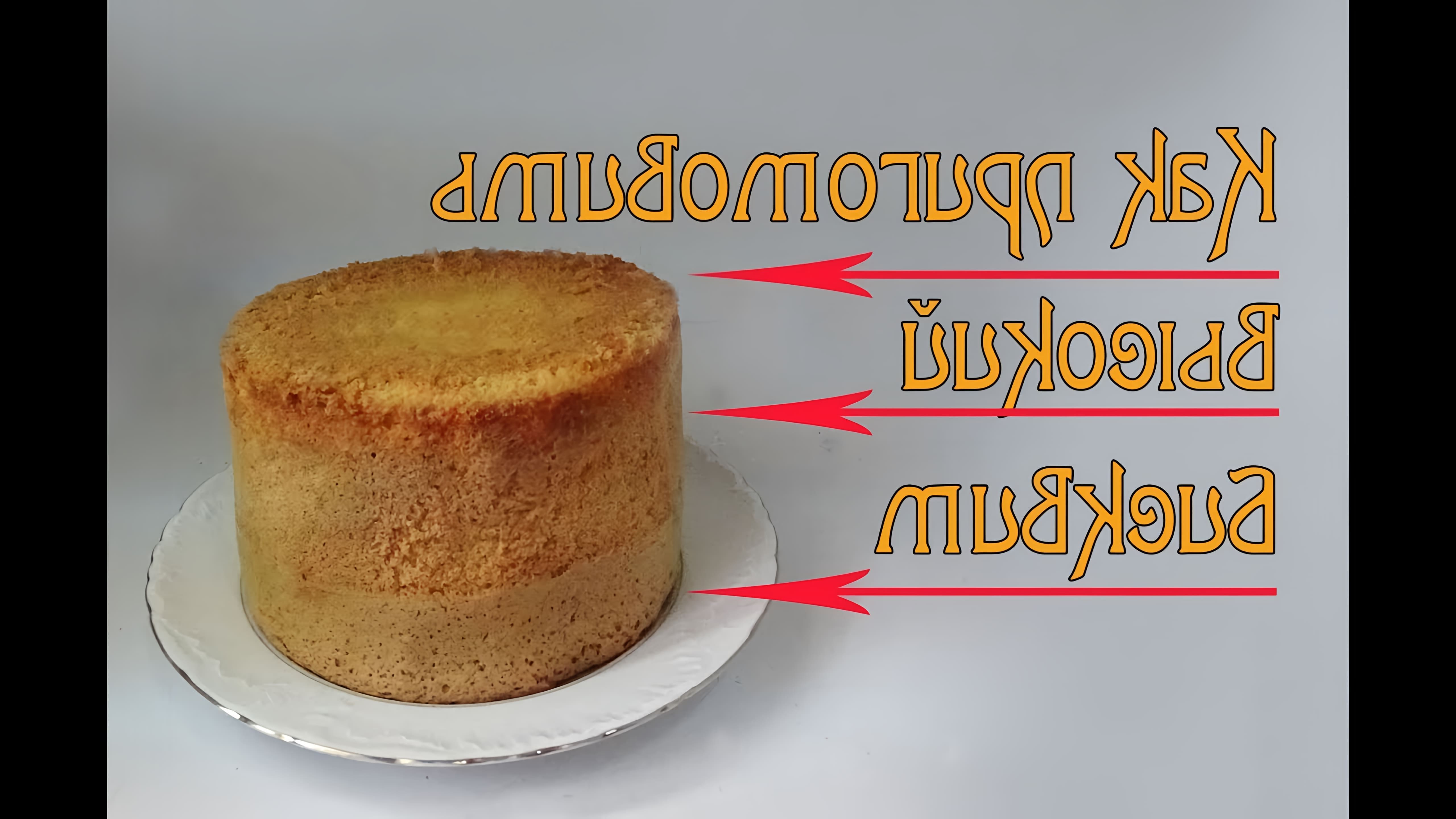 В этом видео демонстрируется, как испечь высокий бисквит без использования высокой формы