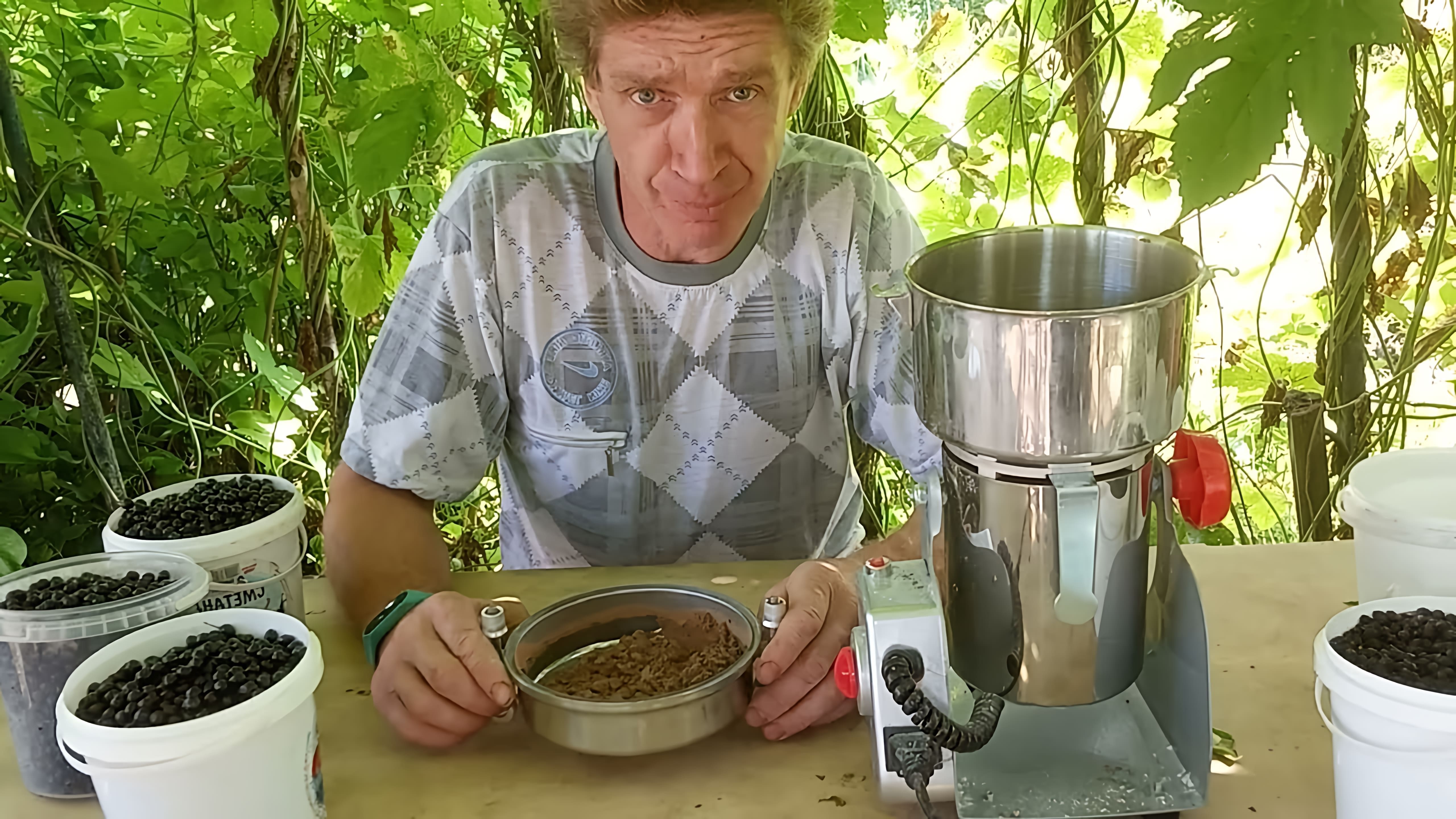 В этом видео рассказывается о том, как сделать муку из сушеной черемухи