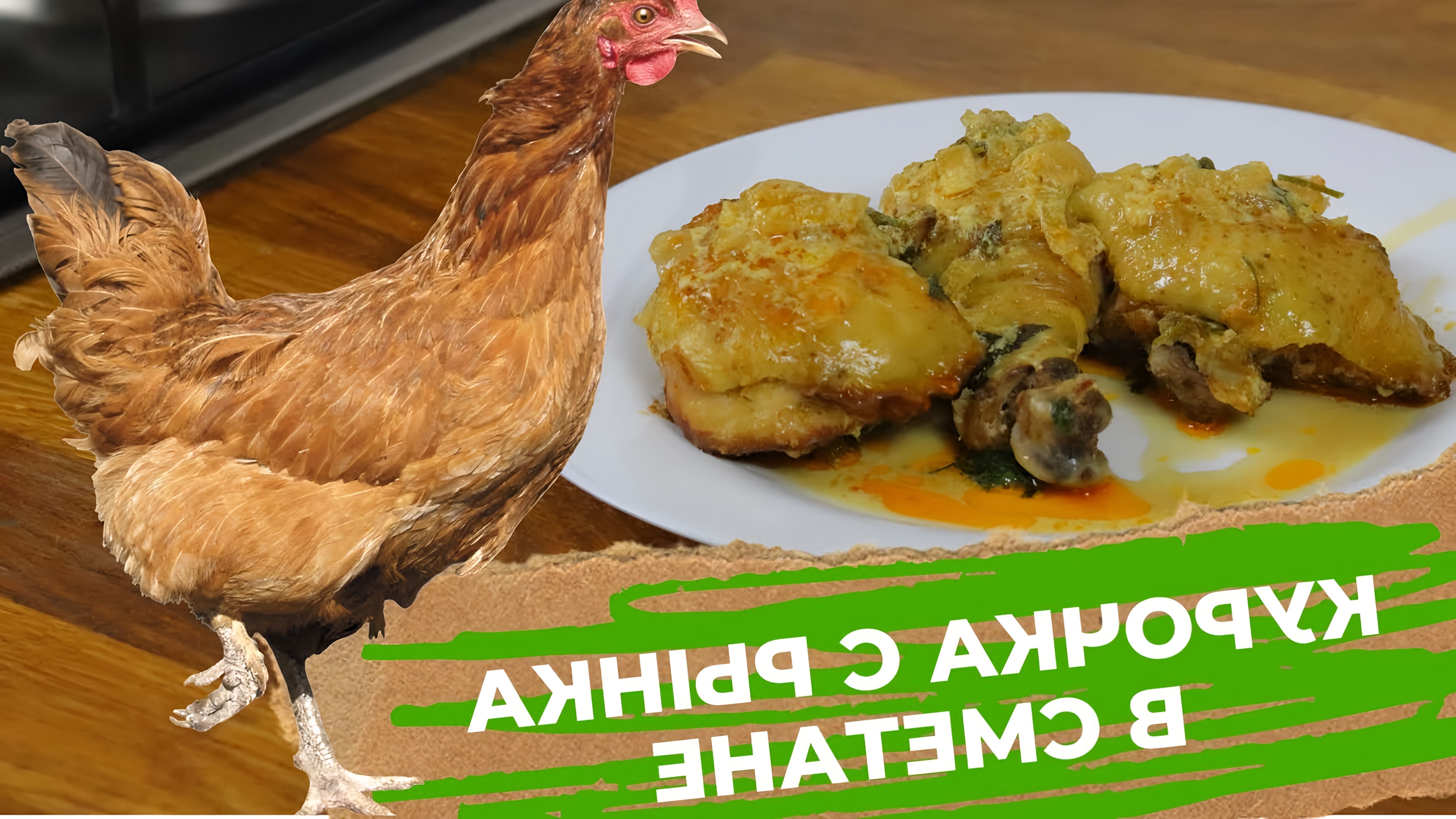 В этом видео демонстрируется процесс приготовления домашней курицы тушеной в сметане