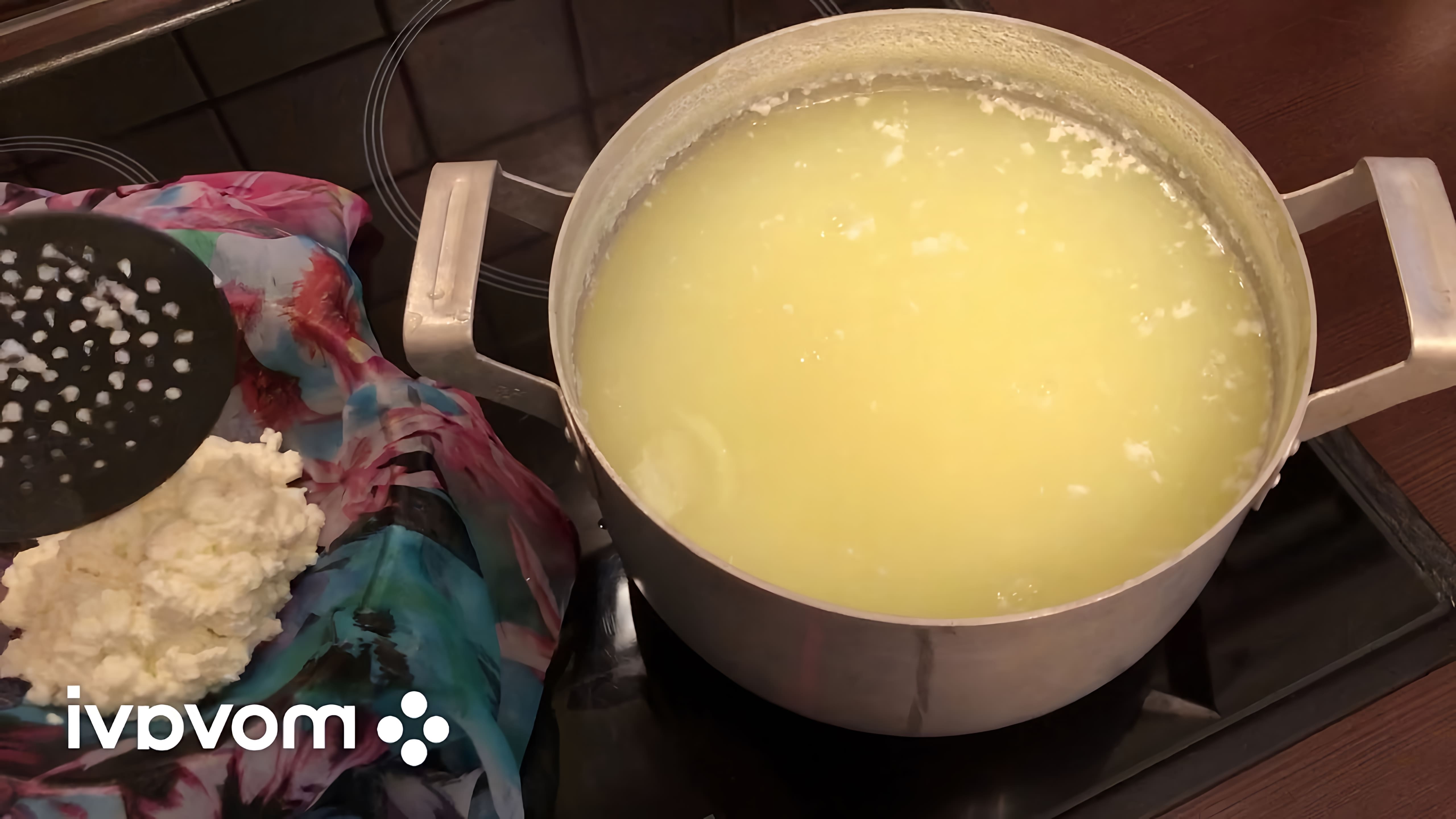 В данном видео демонстрируется процесс приготовления сыра из дешевого магазинного молока