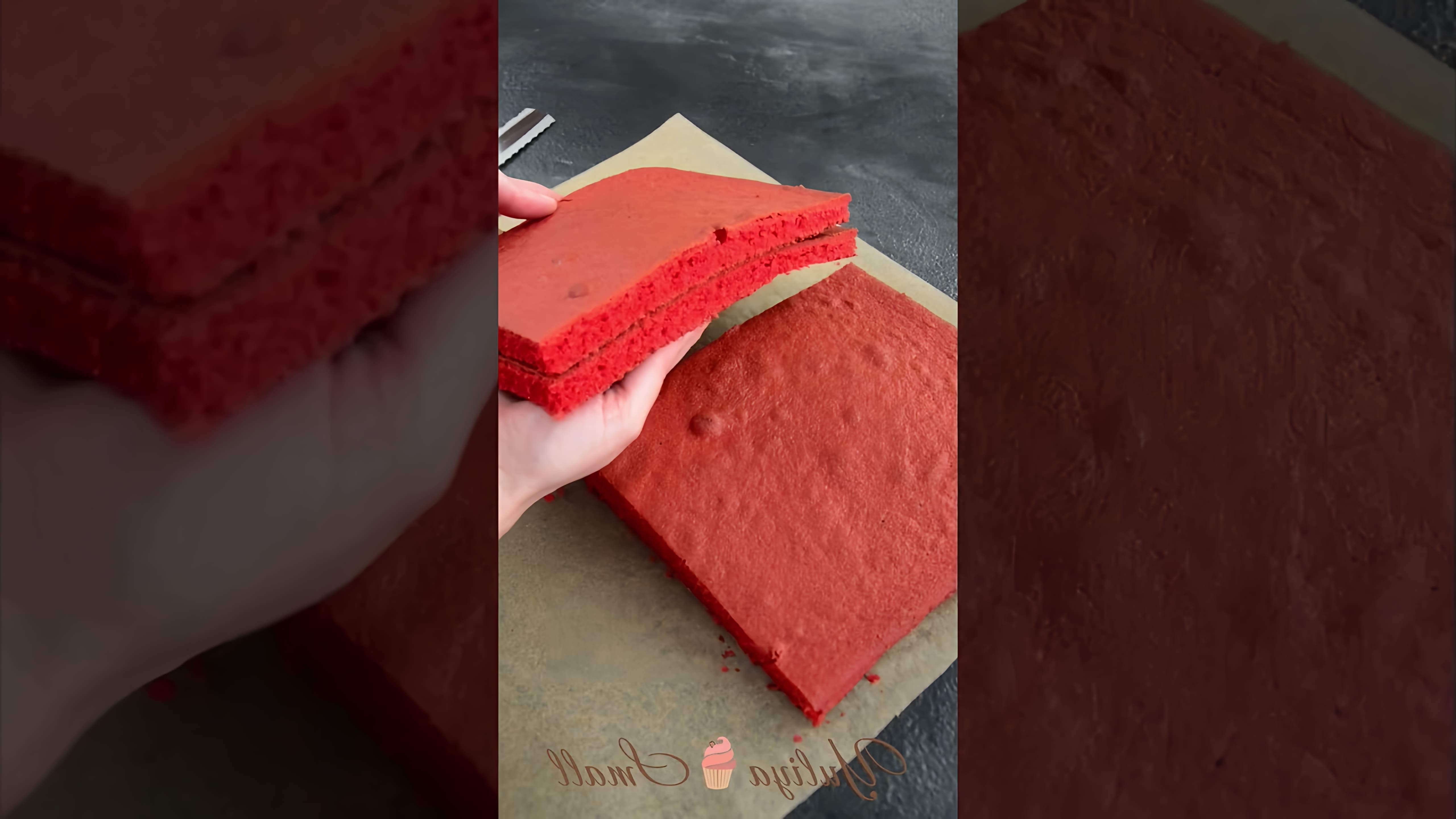 В этом видео показано, как приготовить торт "Красный бархат" на День рождения подруги