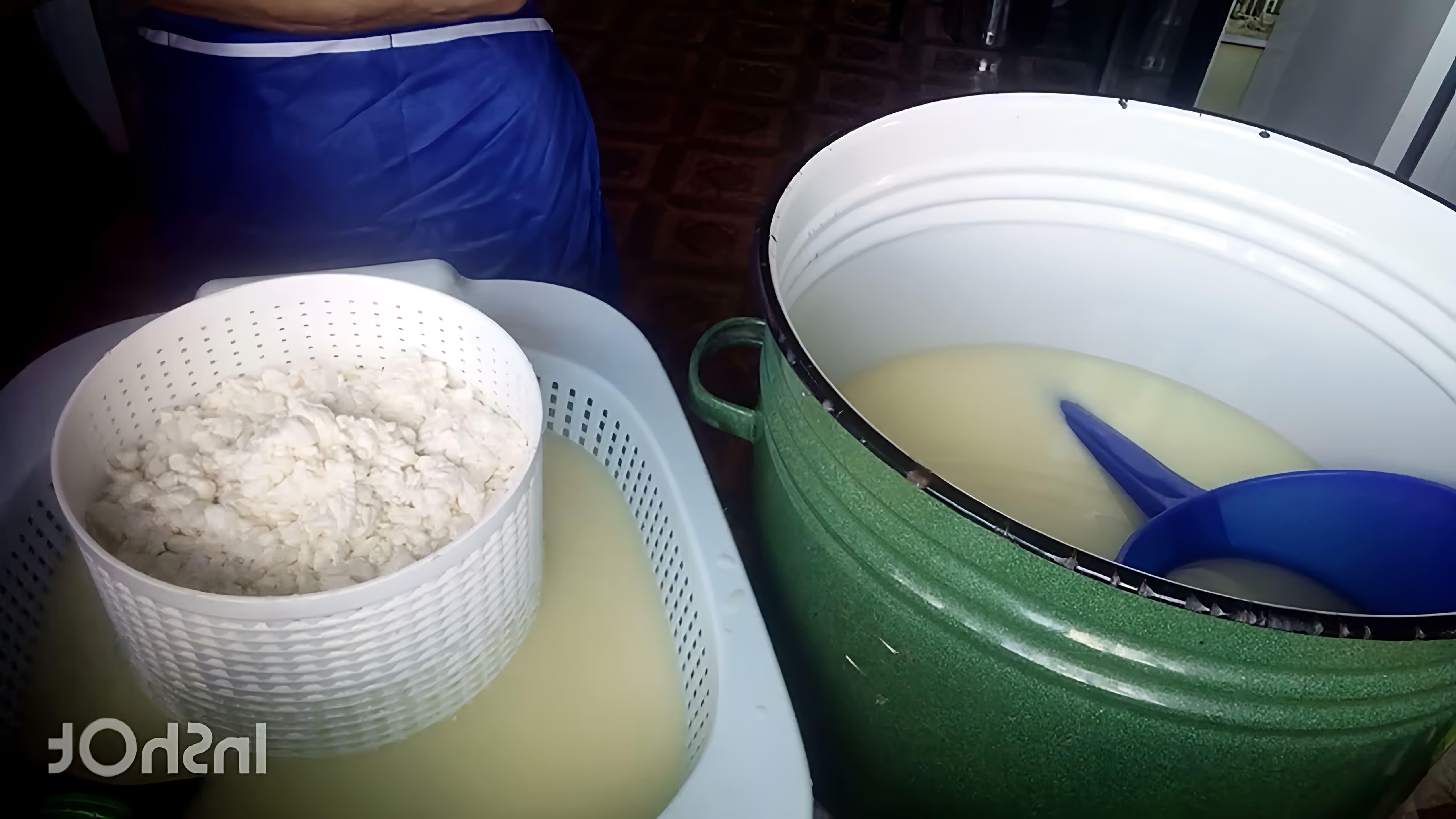 В этом видео демонстрируется процесс приготовления сыра Халуми