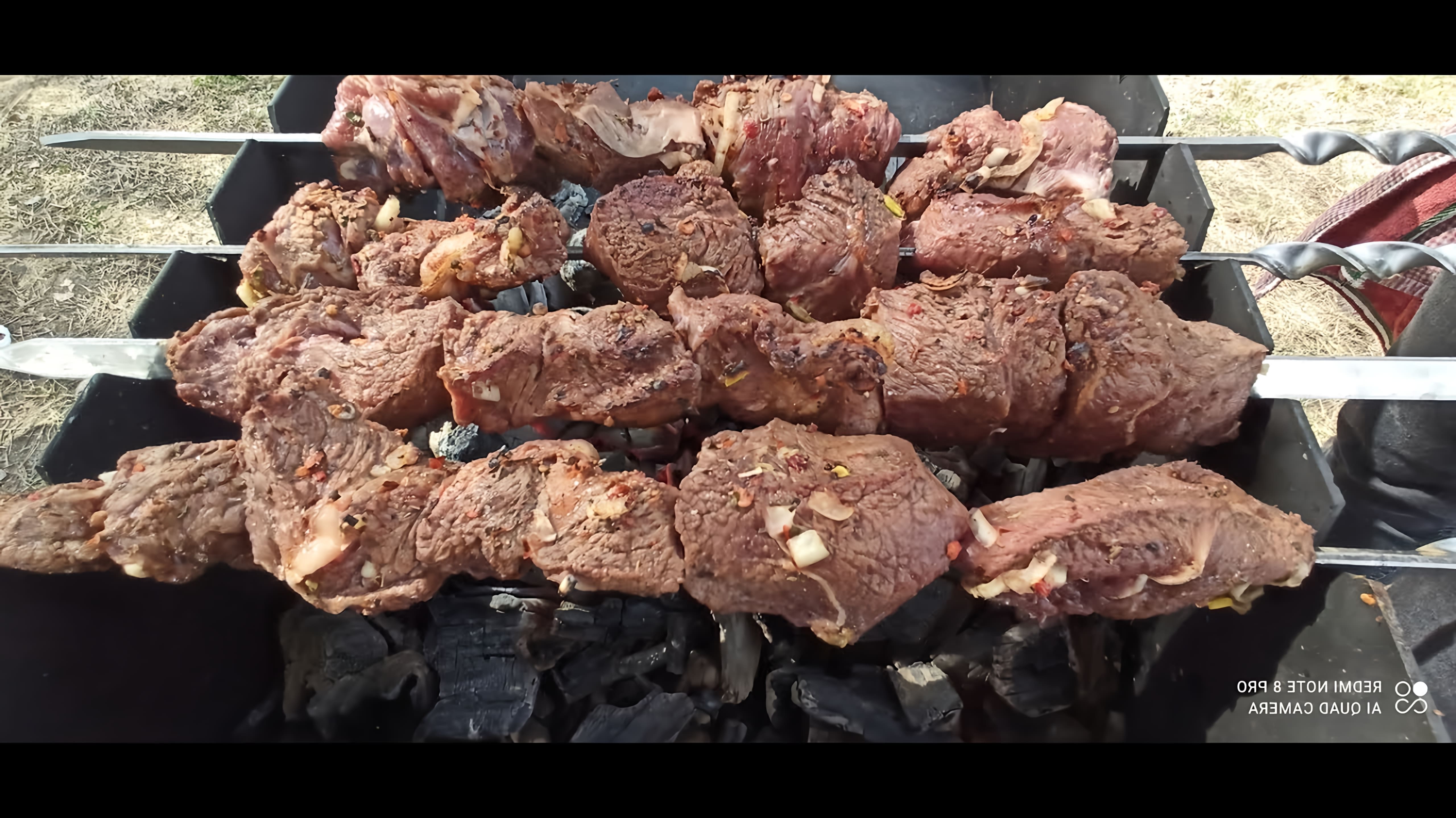 В этом видео демонстрируется рецепт приготовления шашлыка из говядины с использованием маринада из киви