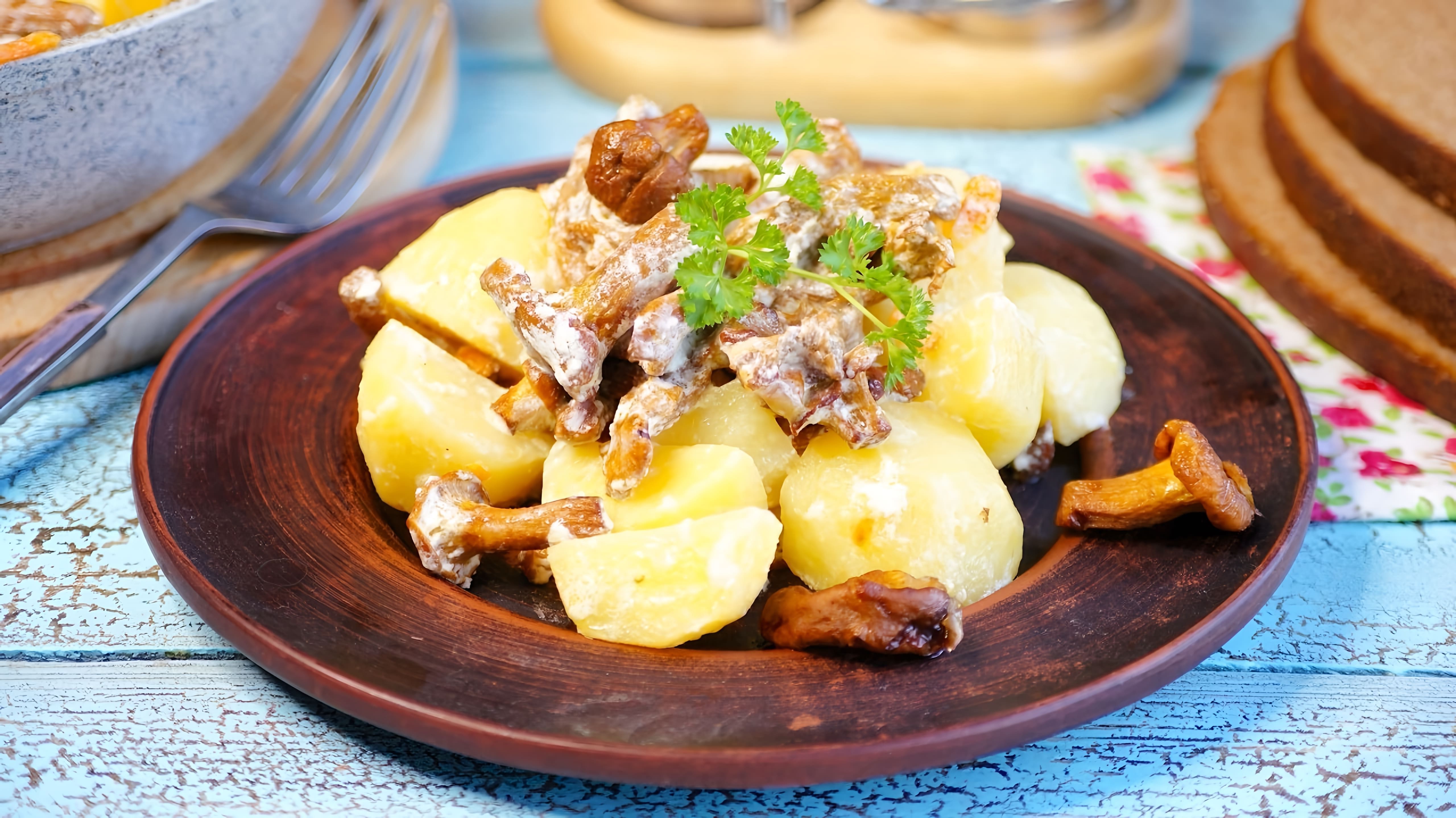 В этом видео-ролике вы увидите, как приготовить вкусное и простое блюдо - тушеные лисички с картошкой в сметане