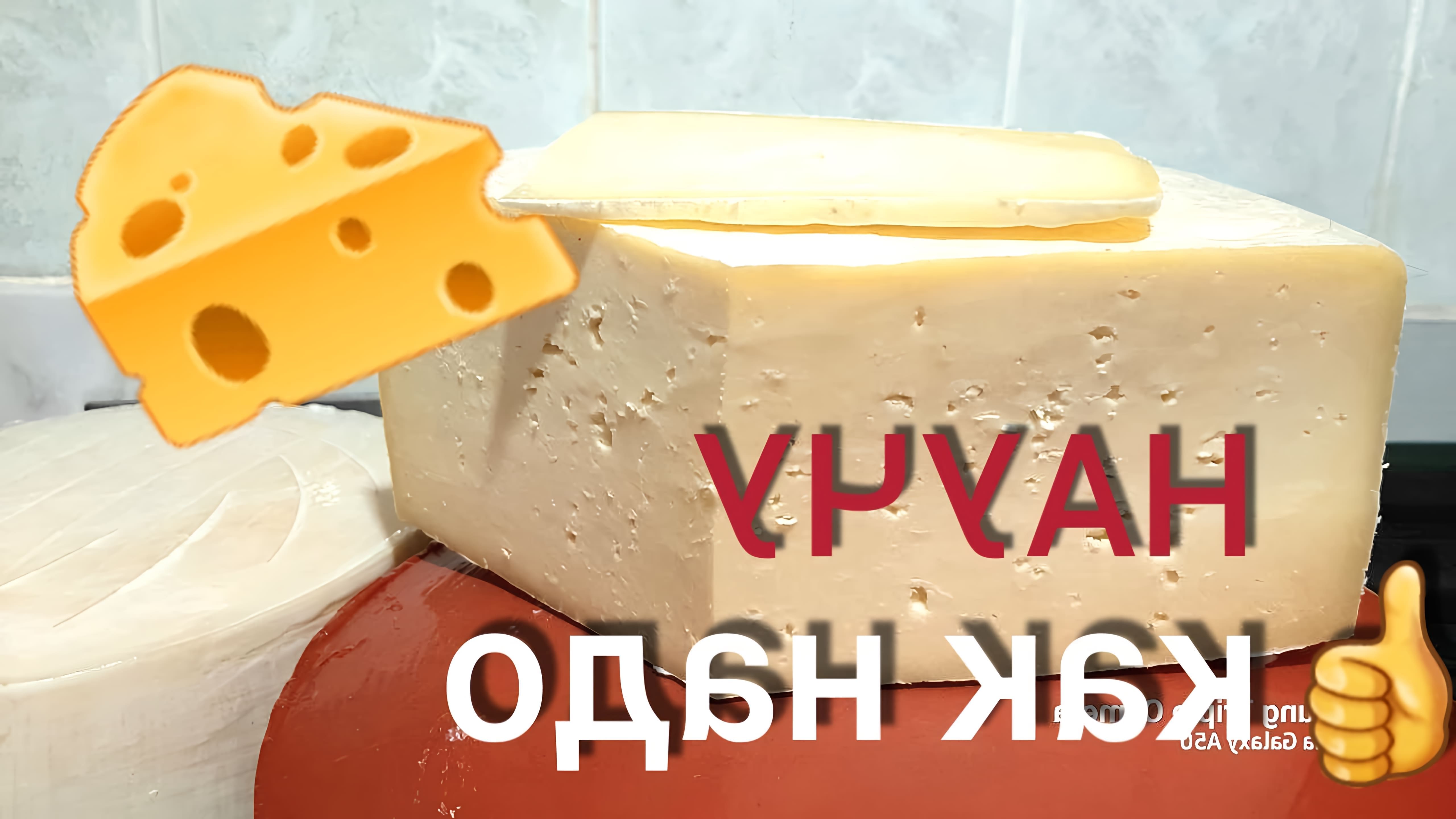 В данном видео демонстрируется процесс приготовления сыра в домашних условиях