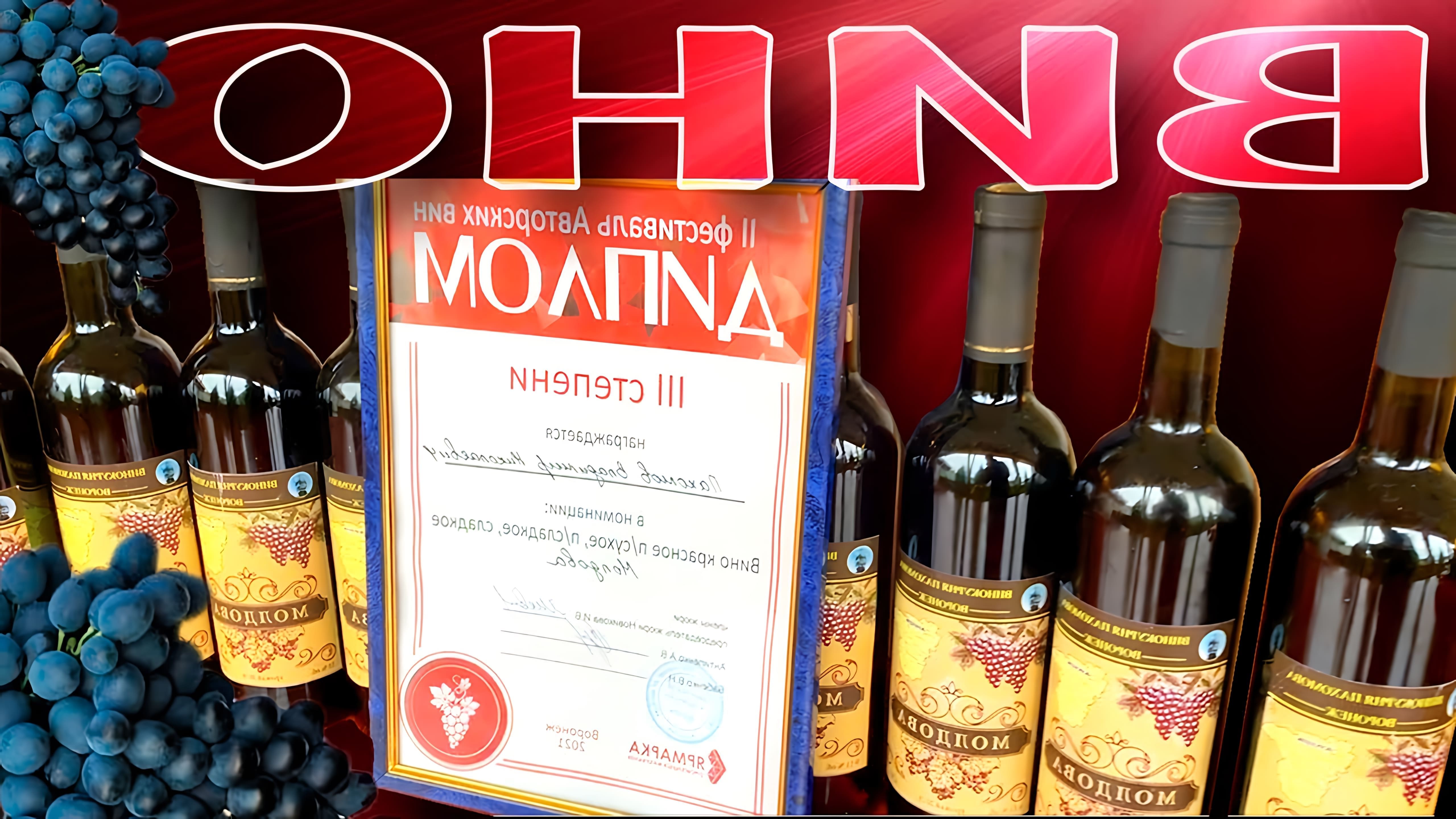 В этом видео демонстрируется процесс приготовления домашнего виноградного вина из винограда сорта Изабелла и Молдова