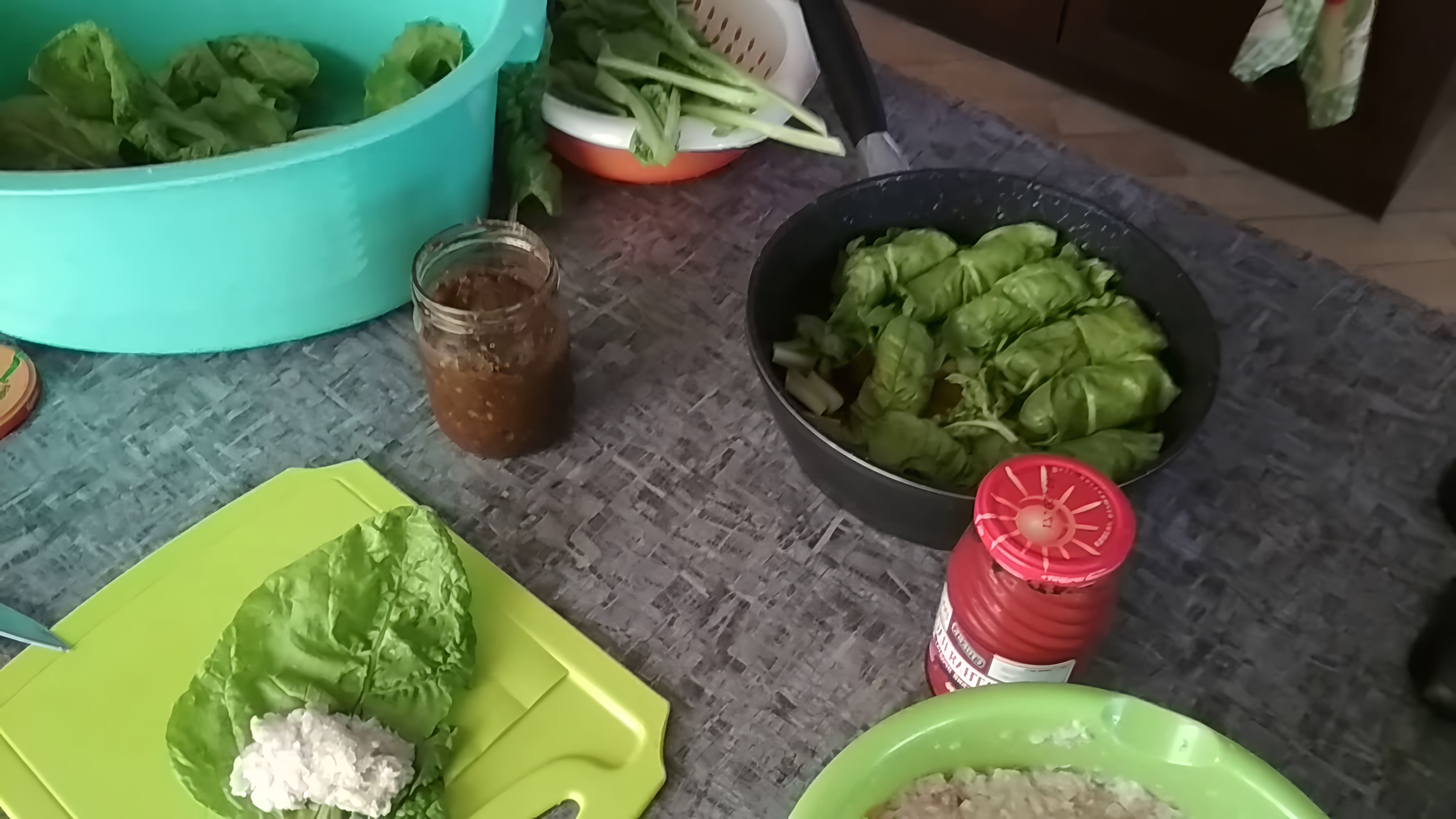 В этом видео-ролике демонстрируется процесс приготовления вкусного блюда - долмы из мангольда