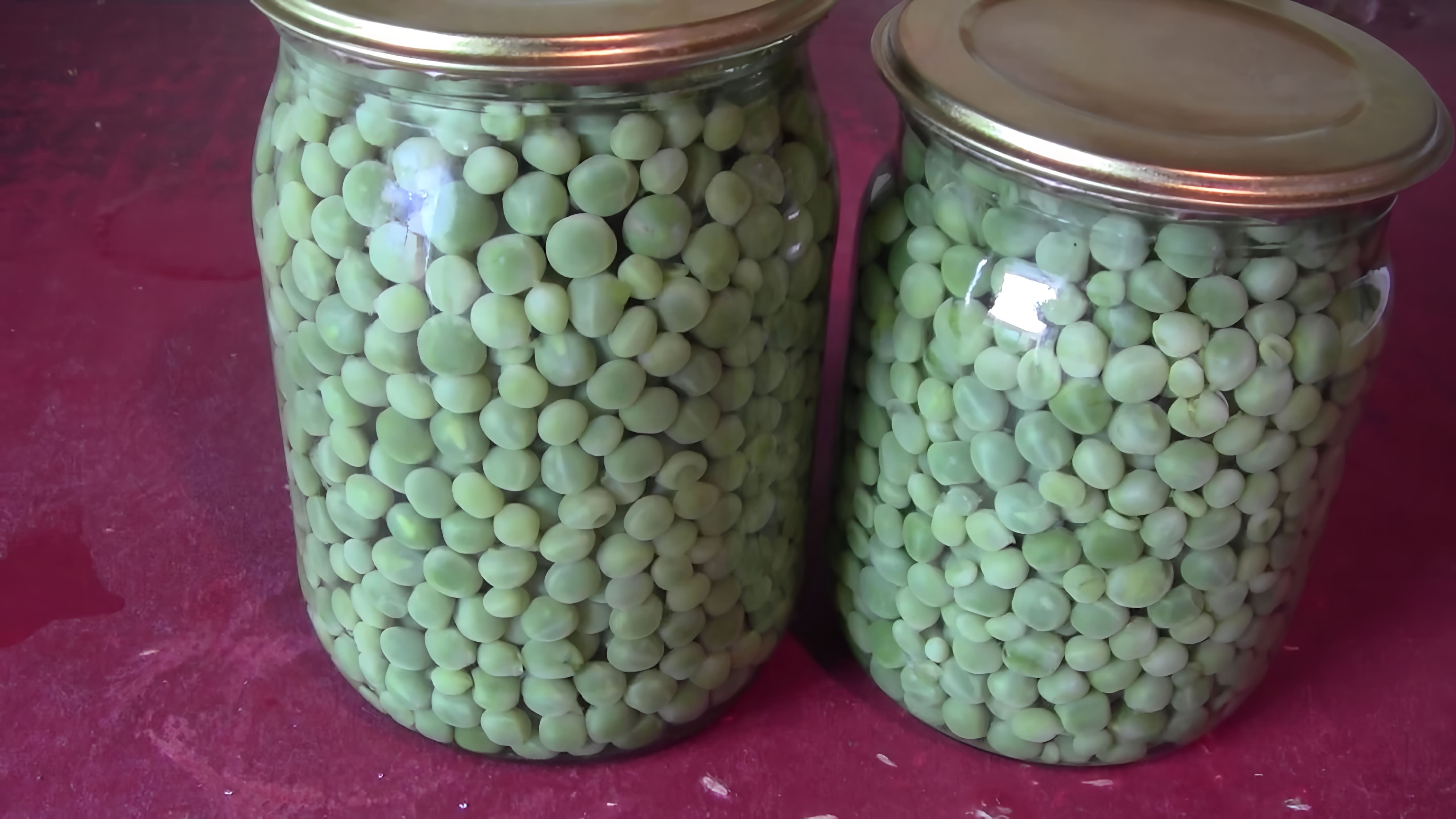 В данном видео демонстрируется процесс консервирования зеленого горошка на зиму