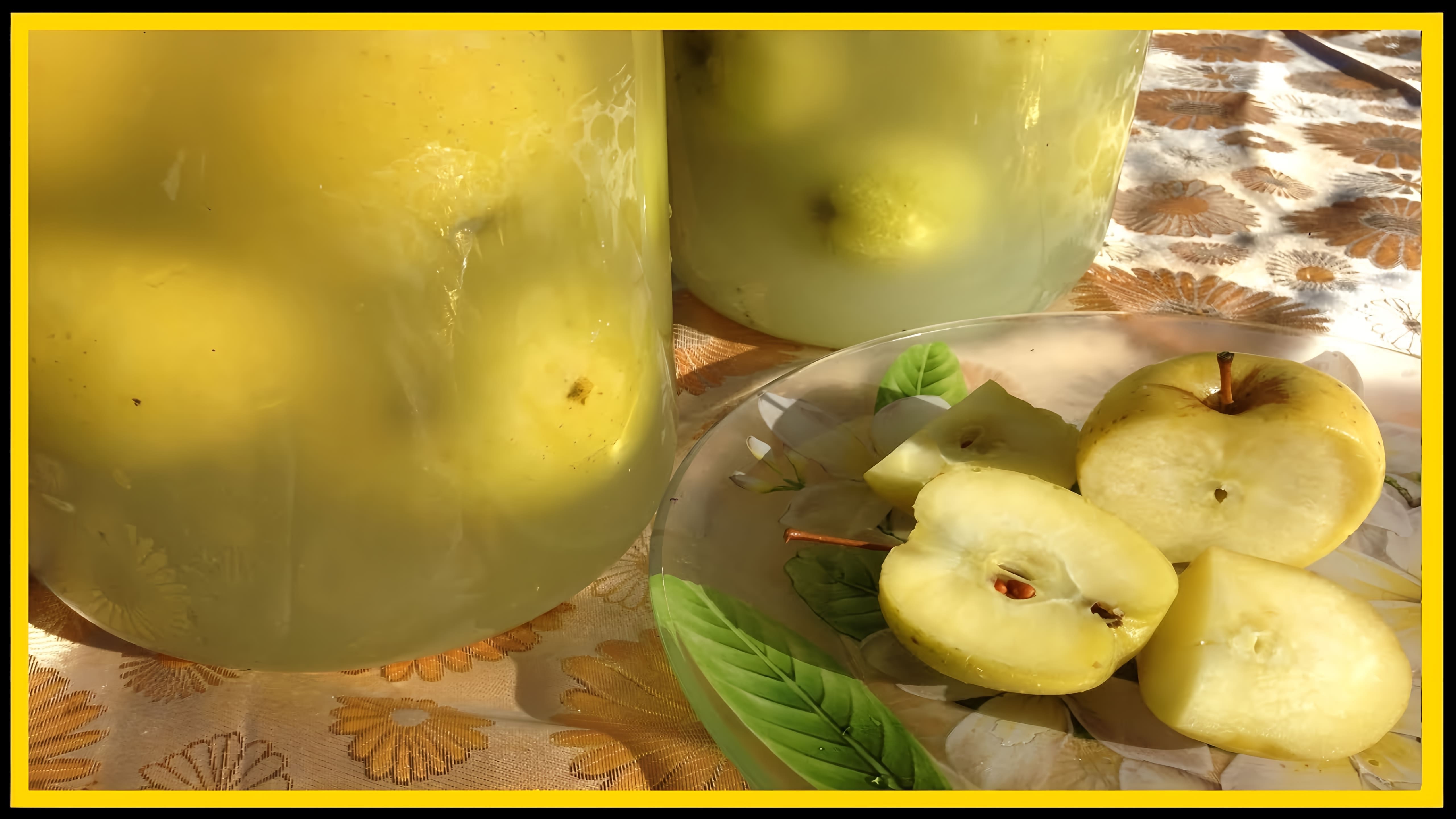 В этом видео показан процесс приготовления двух рецептов моченых яблок