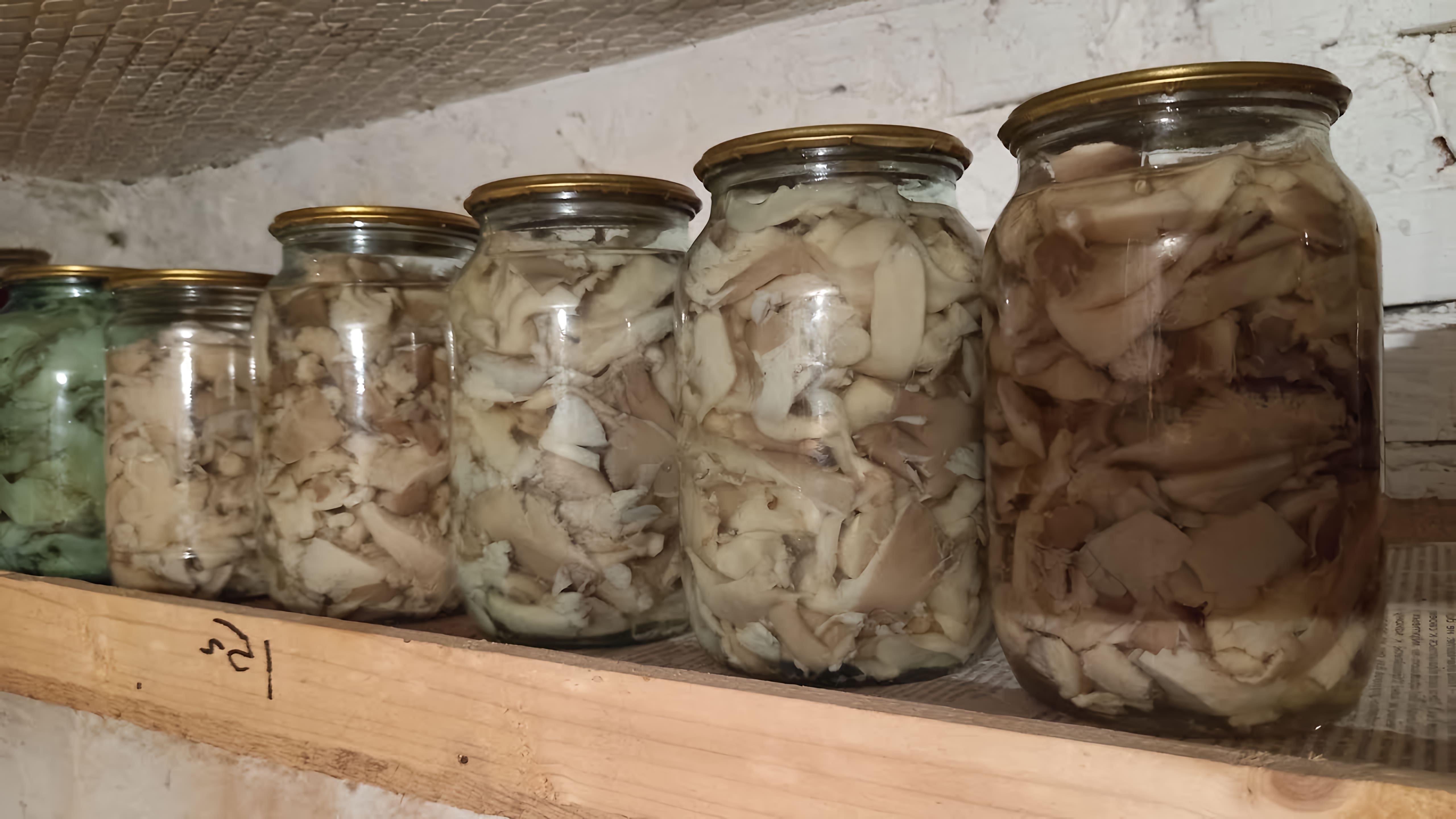 В данном видео демонстрируется процесс приготовления маринованных грибов вешенок на зиму