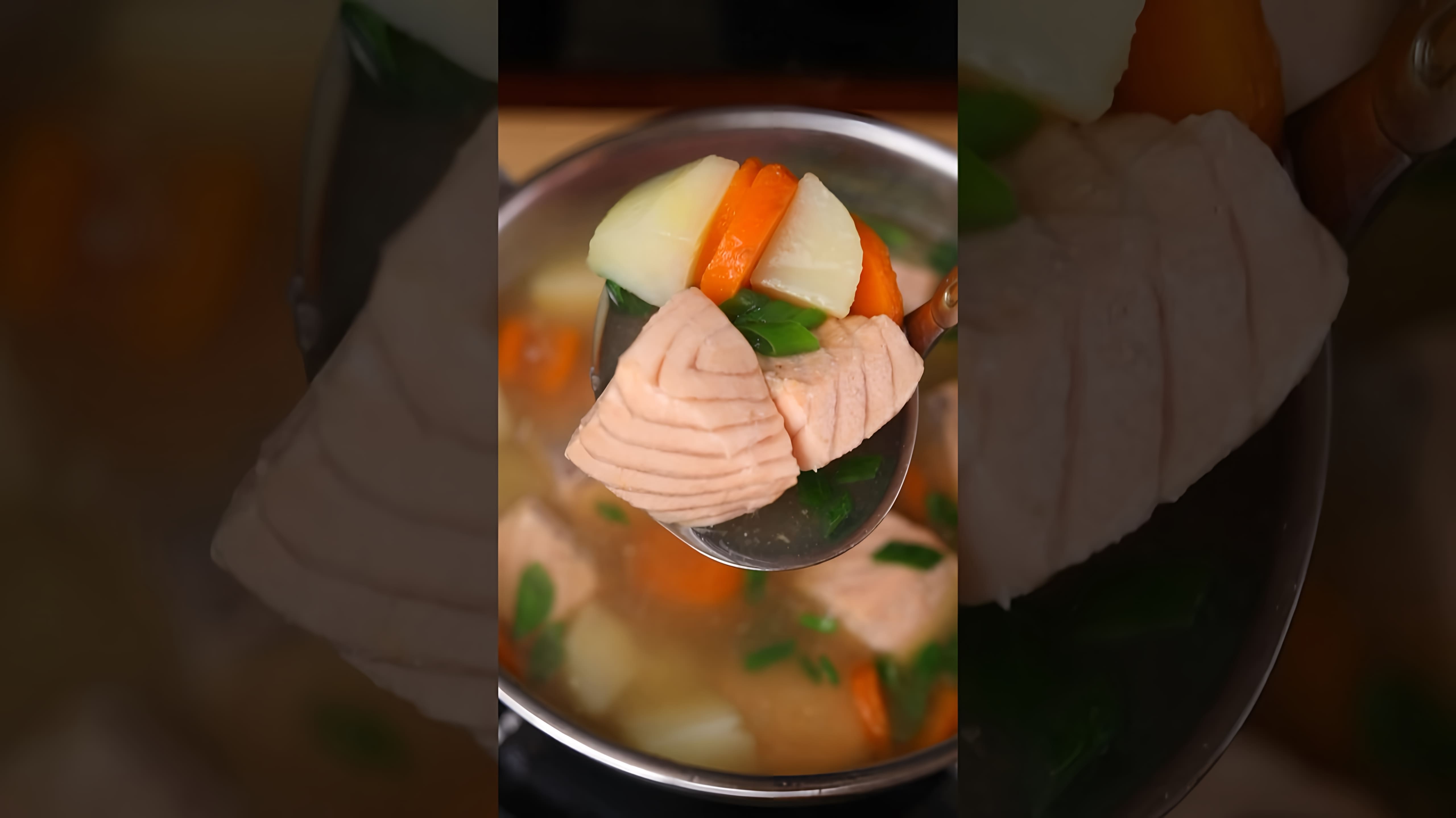 Уха из семги - это вкусное и полезное блюдо, которое можно приготовить в домашних условиях