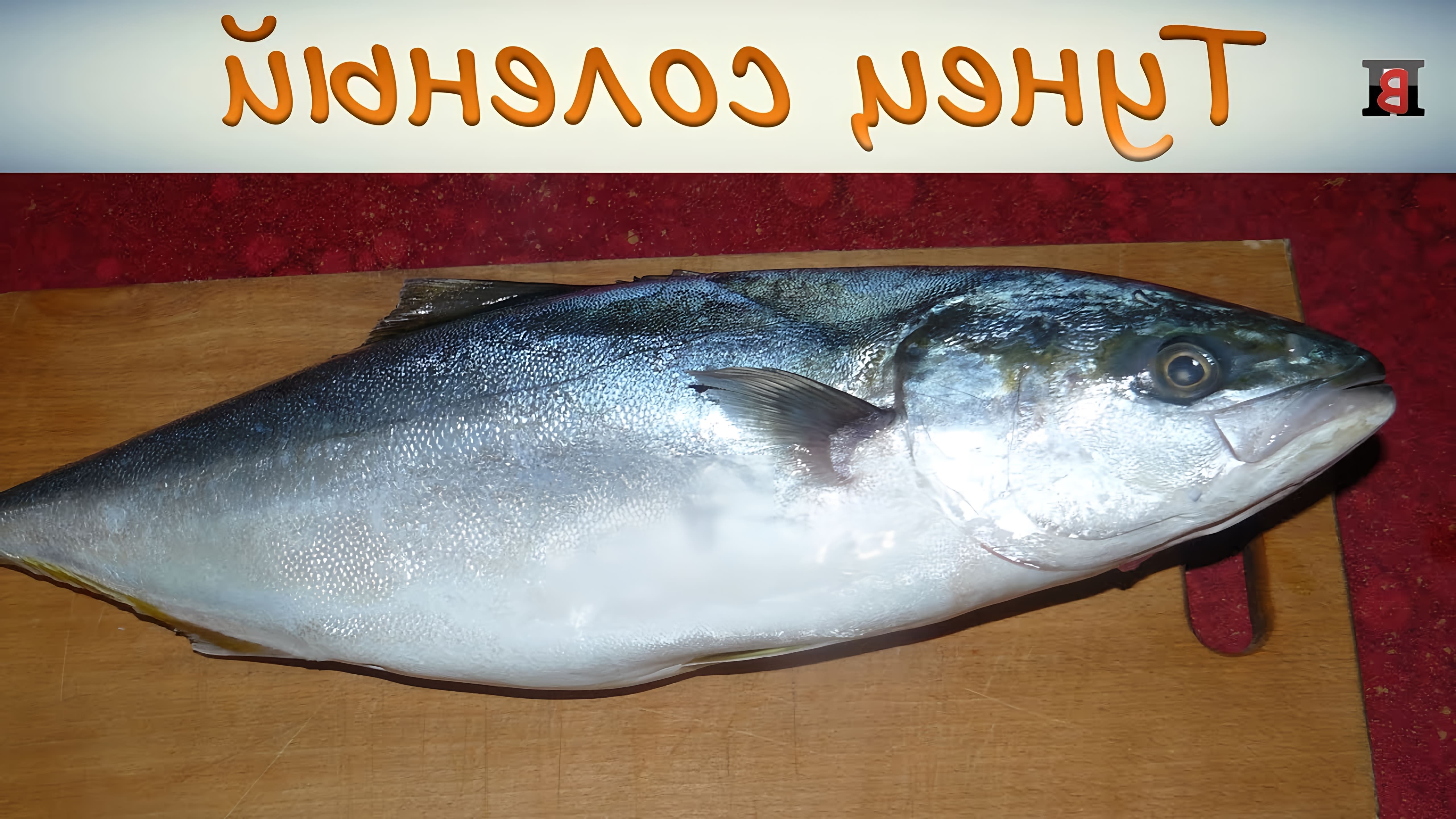 В этом видео представлен рецепт приготовления соленого тунца