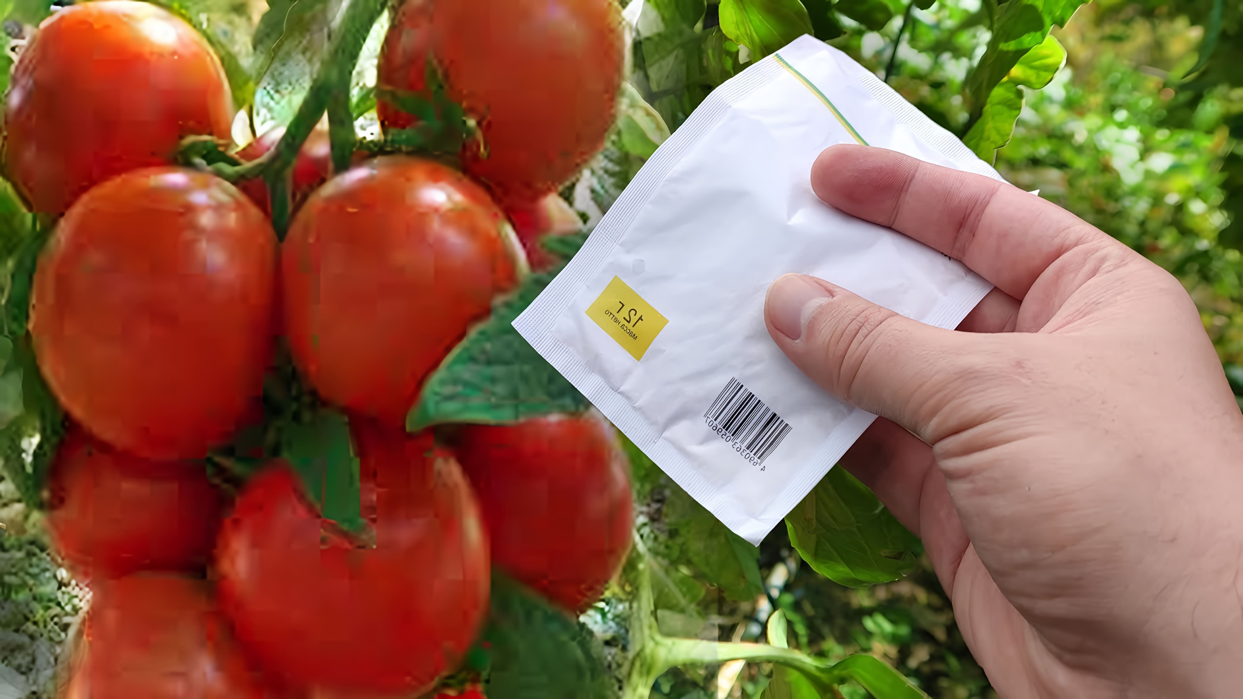 Бір ханым трансвеститті алып кетеді Харьков порно Лена