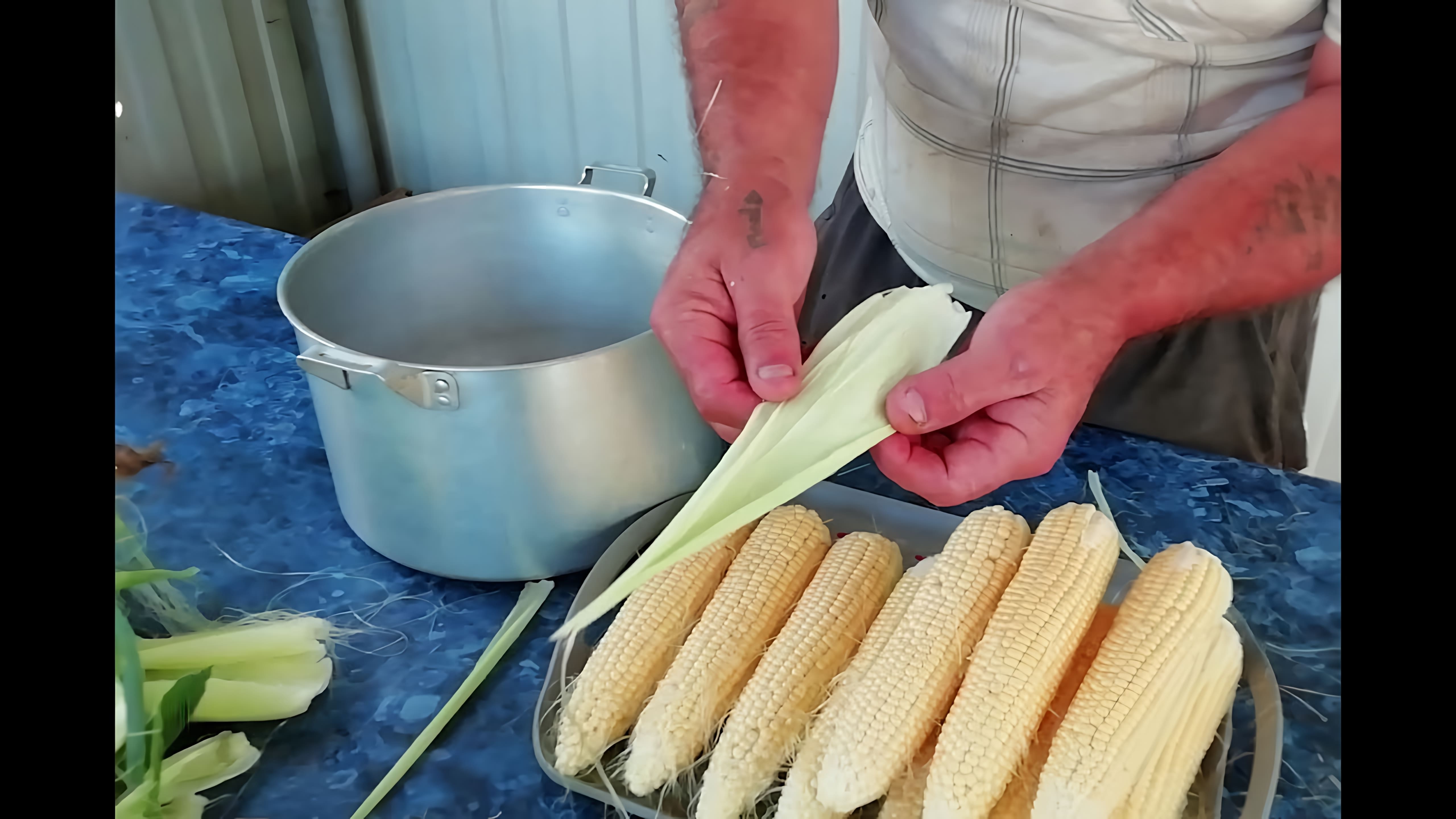 В этом видео рассказывается о том, как правильно варить сладкую кукурузу