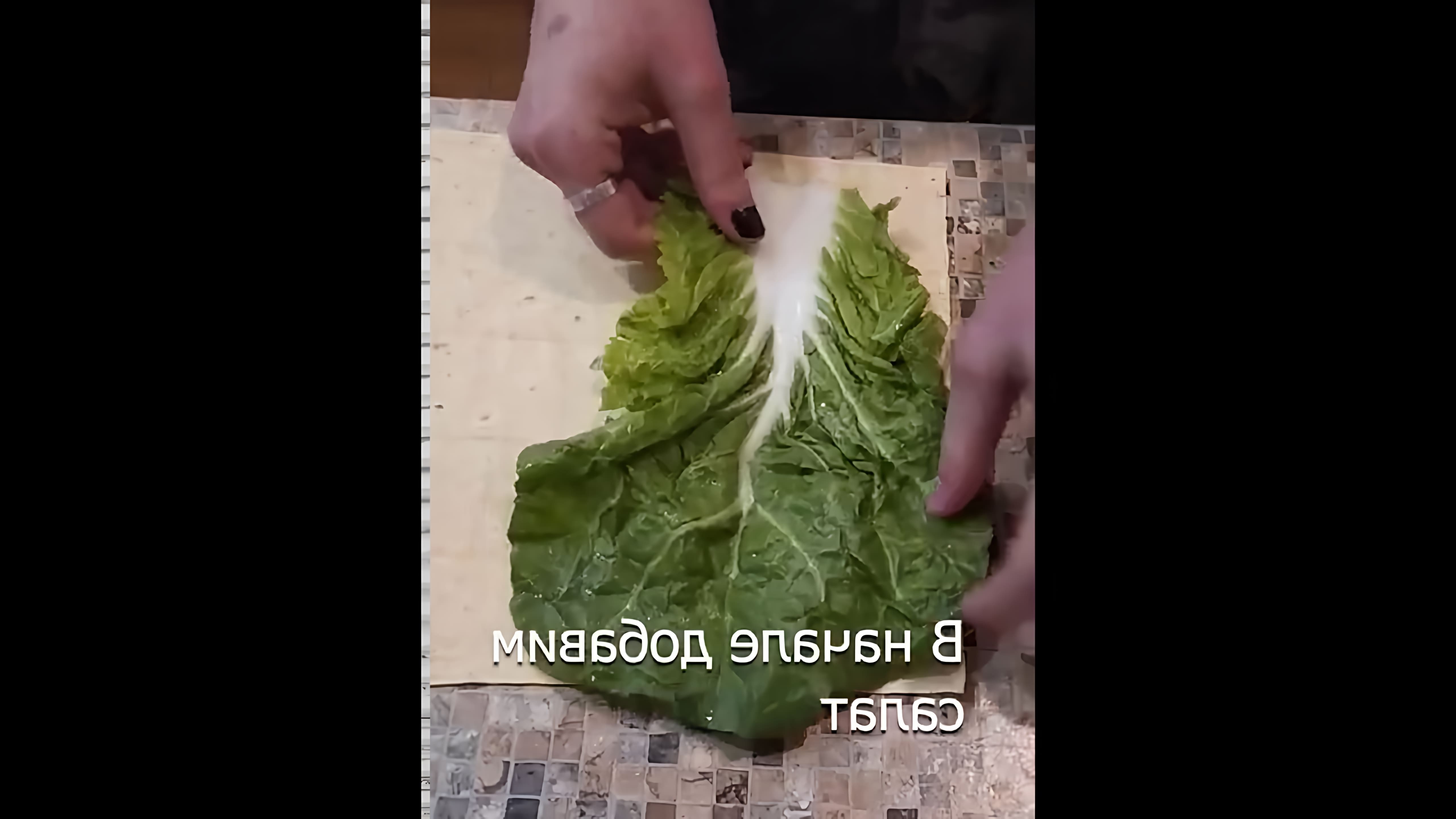 В этом видео-ролике вы увидите, как приготовить домашний ролл всего за 1 минуту, используя простой рецепт