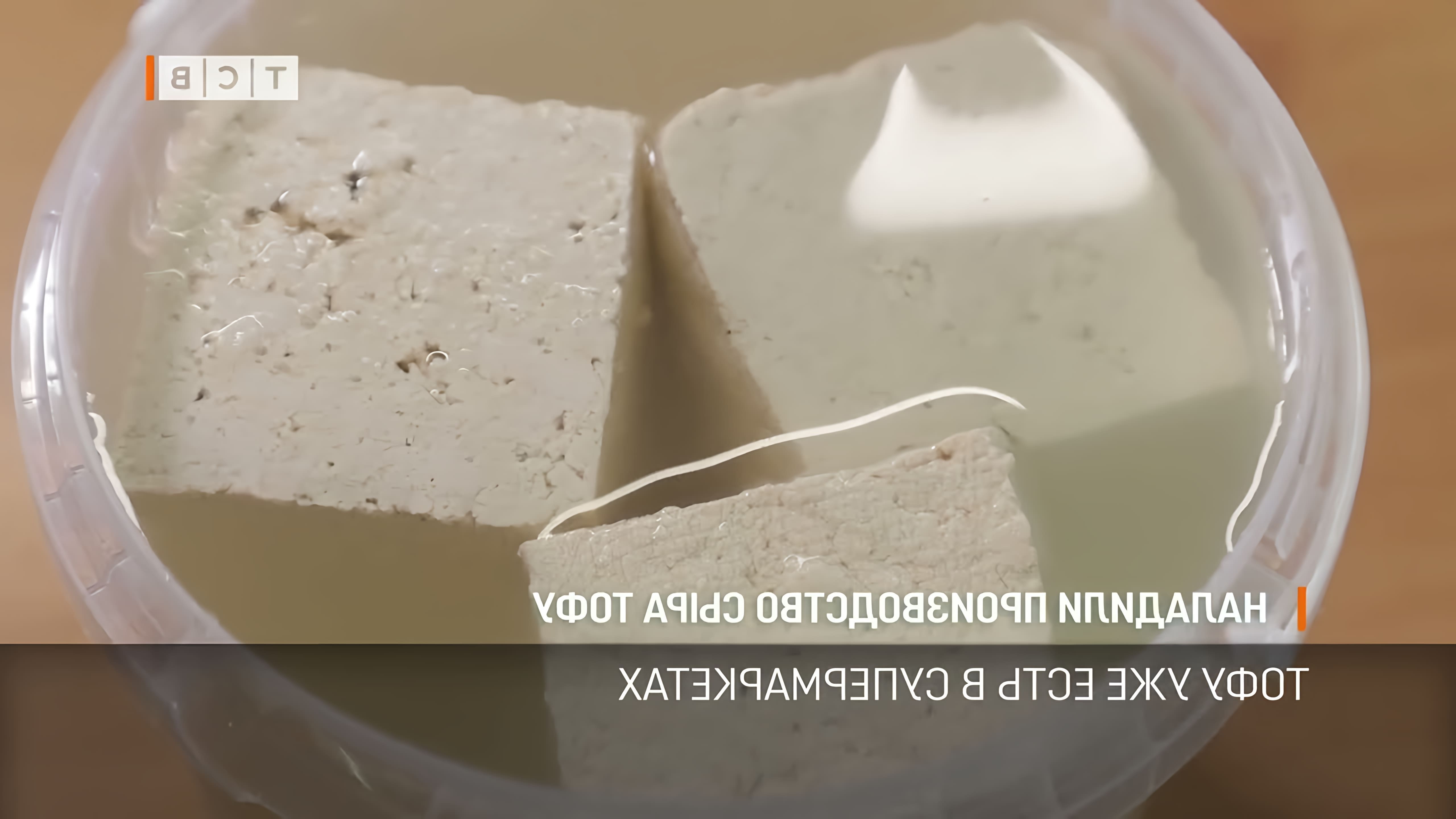 Бендерский мясокомбинат начал производство сыра тофу, который ценится за свои полезные качества и диетические свойства