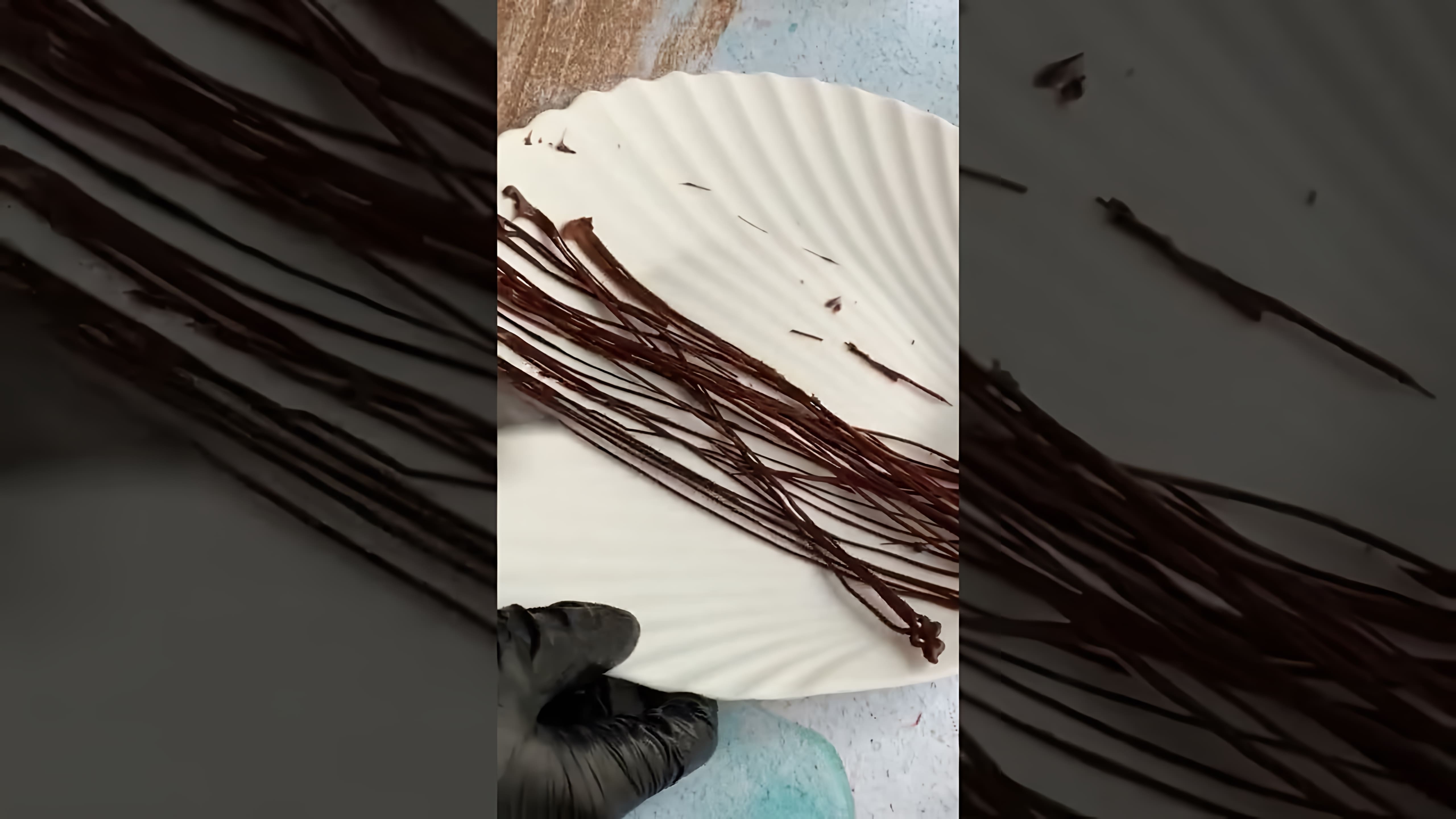 В этом видео демонстрируется, как сделать шоколадное гнездо за 3 минуты