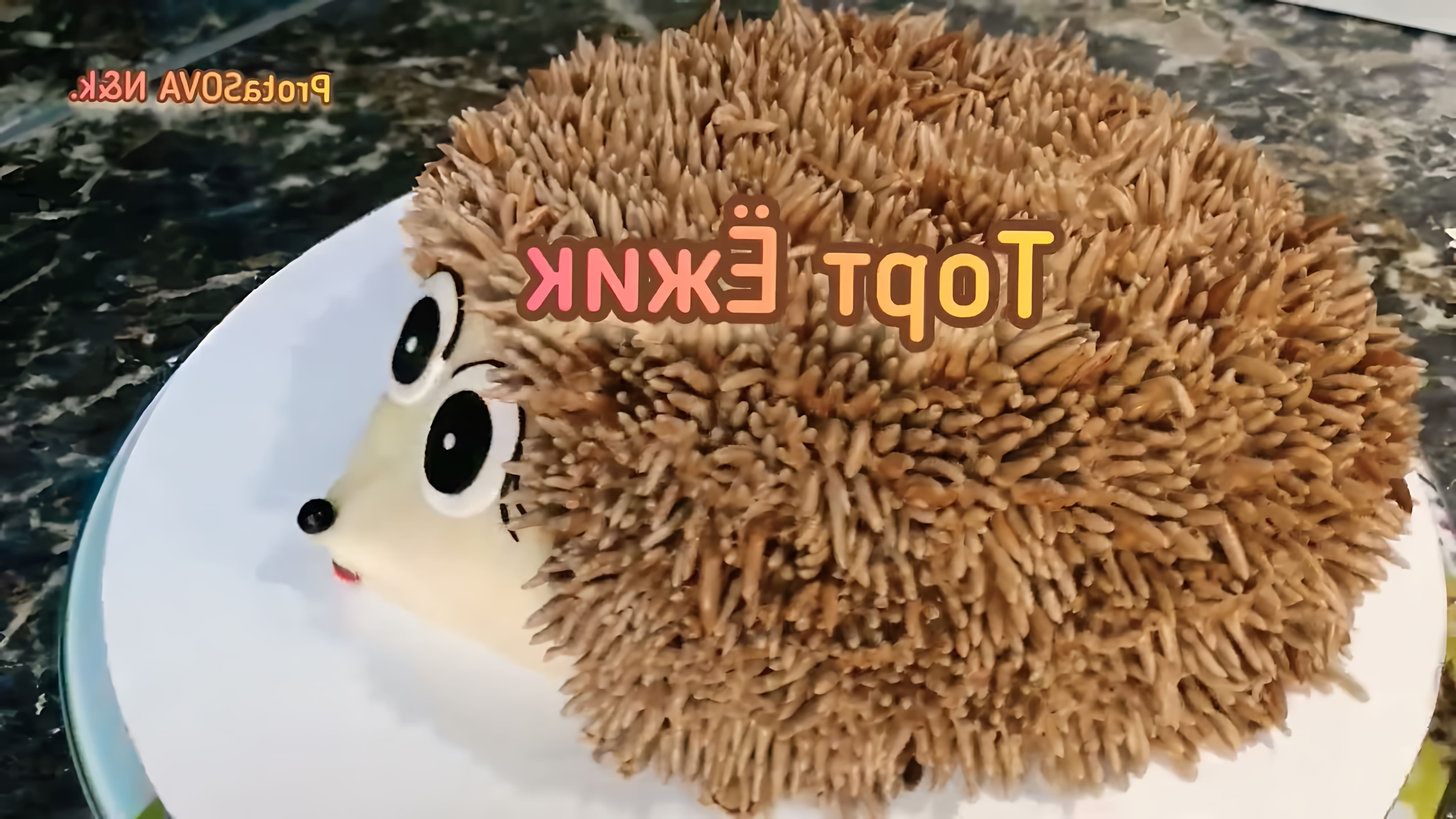 Су астындағы секс ххх Тұрғын үй-құрылыс кооперативінің мүшесі Рябова екі бөлмелі кооперативтік пәтерде тұрды.