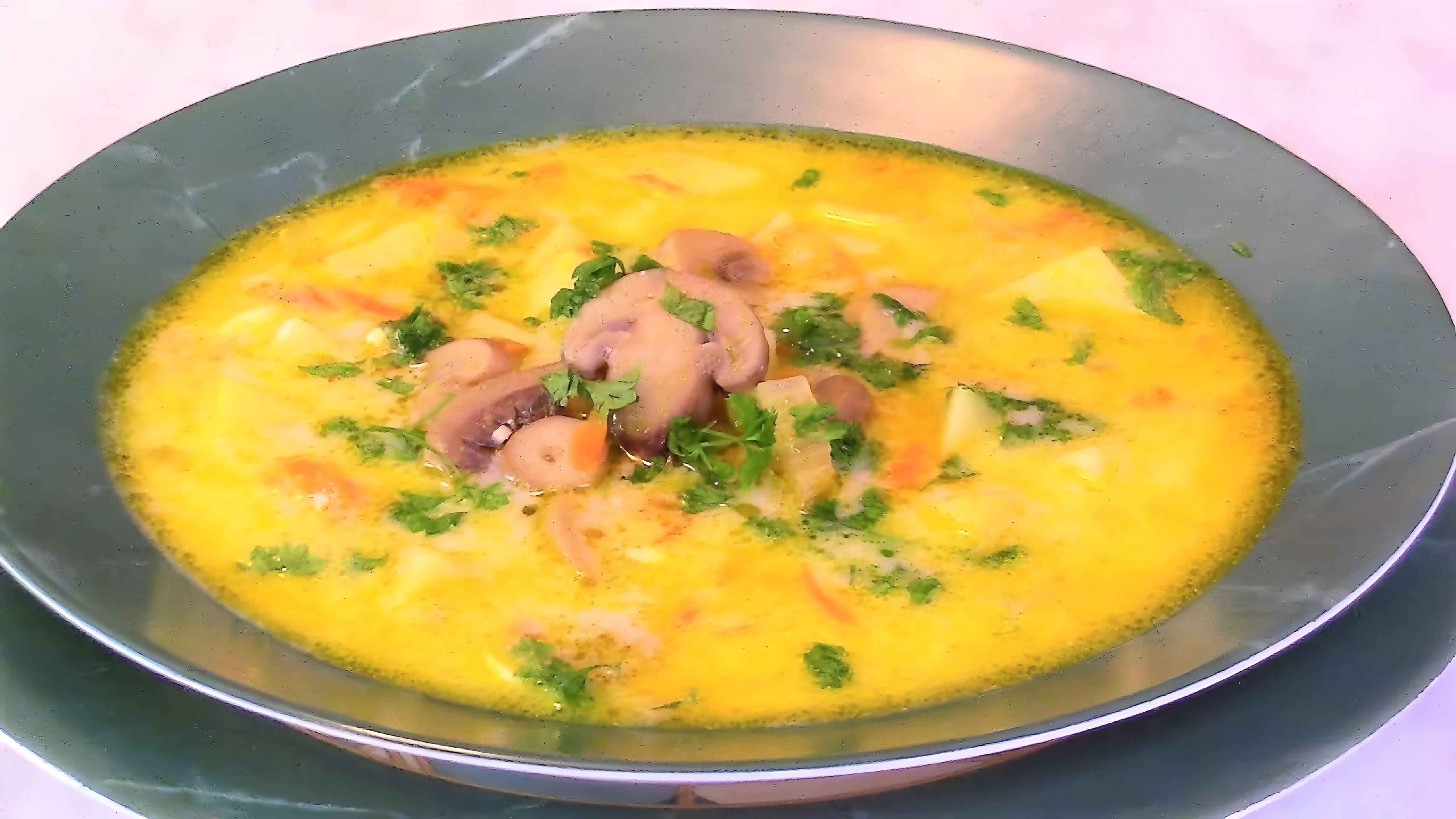 В этом видео демонстрируется процесс приготовления сырного супа с грибами