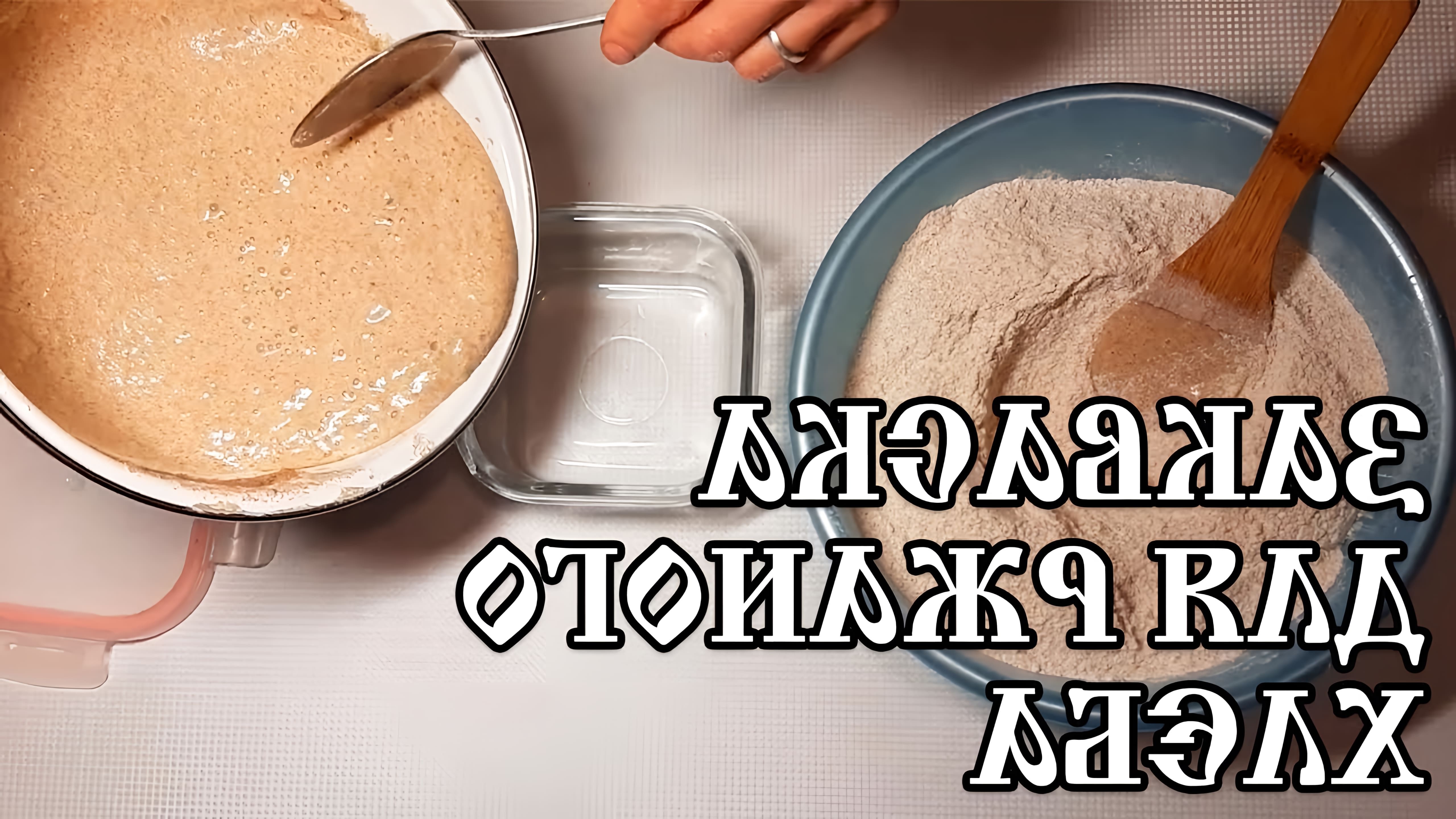 В данном видео демонстрируется процесс приготовления ржаной закваски для бездрожжевого хлеба
